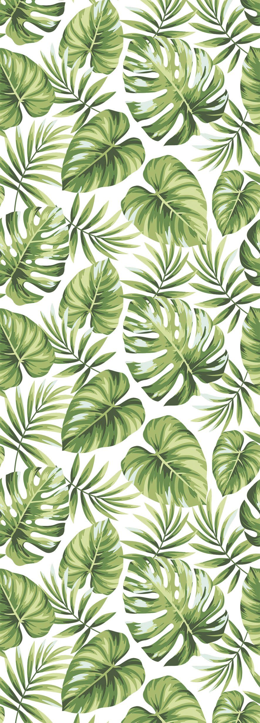 queence Vinyltapete Tropische Blätter-Grün, glatt, floral, bedruckt, natürlich, gemustert, Motiv, botanisch, 90x250cm, selbstklebend, kinderleichte Anbringung, Sticker