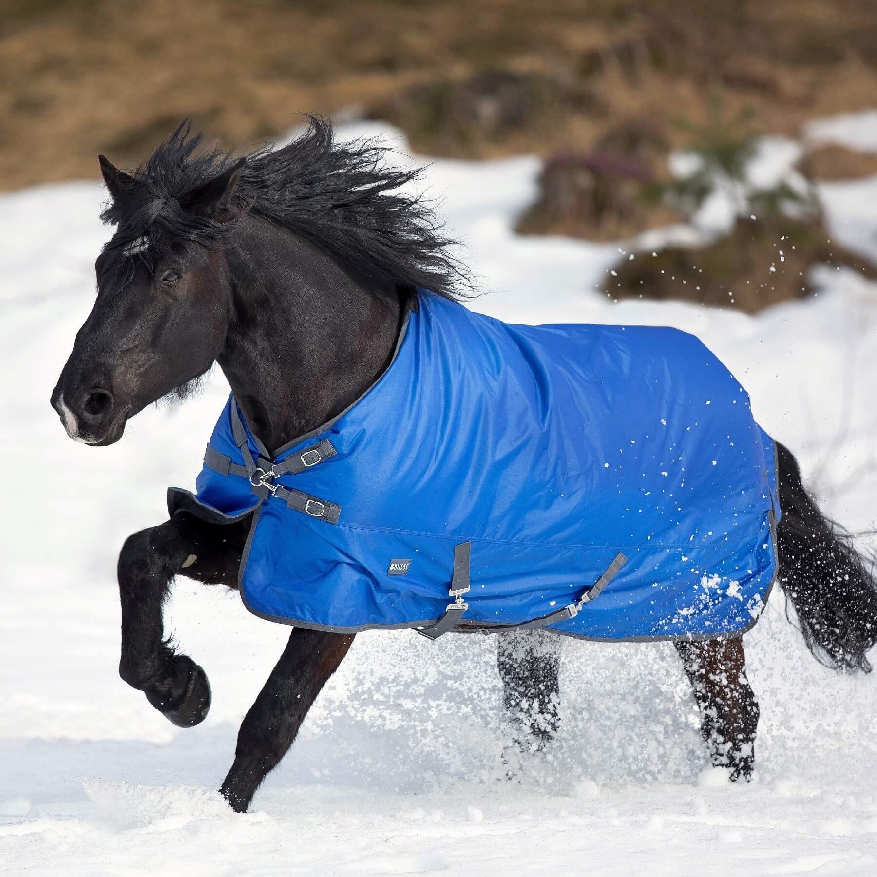 BUSSE Pferde-Thermodecke BUSSE Outdoordecke WINDCHILL 200, mit 200g Wärmeisolierung