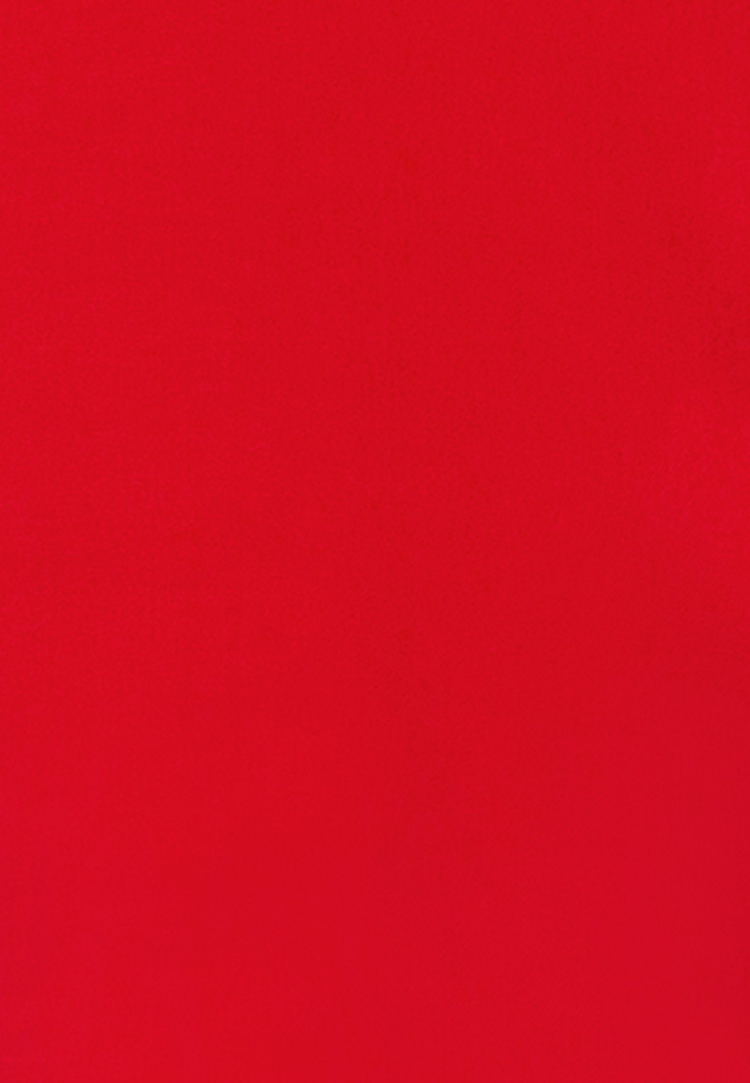 Hemdbluse Uni Langarm Schwarze Kragen Rose seidensticker Rot