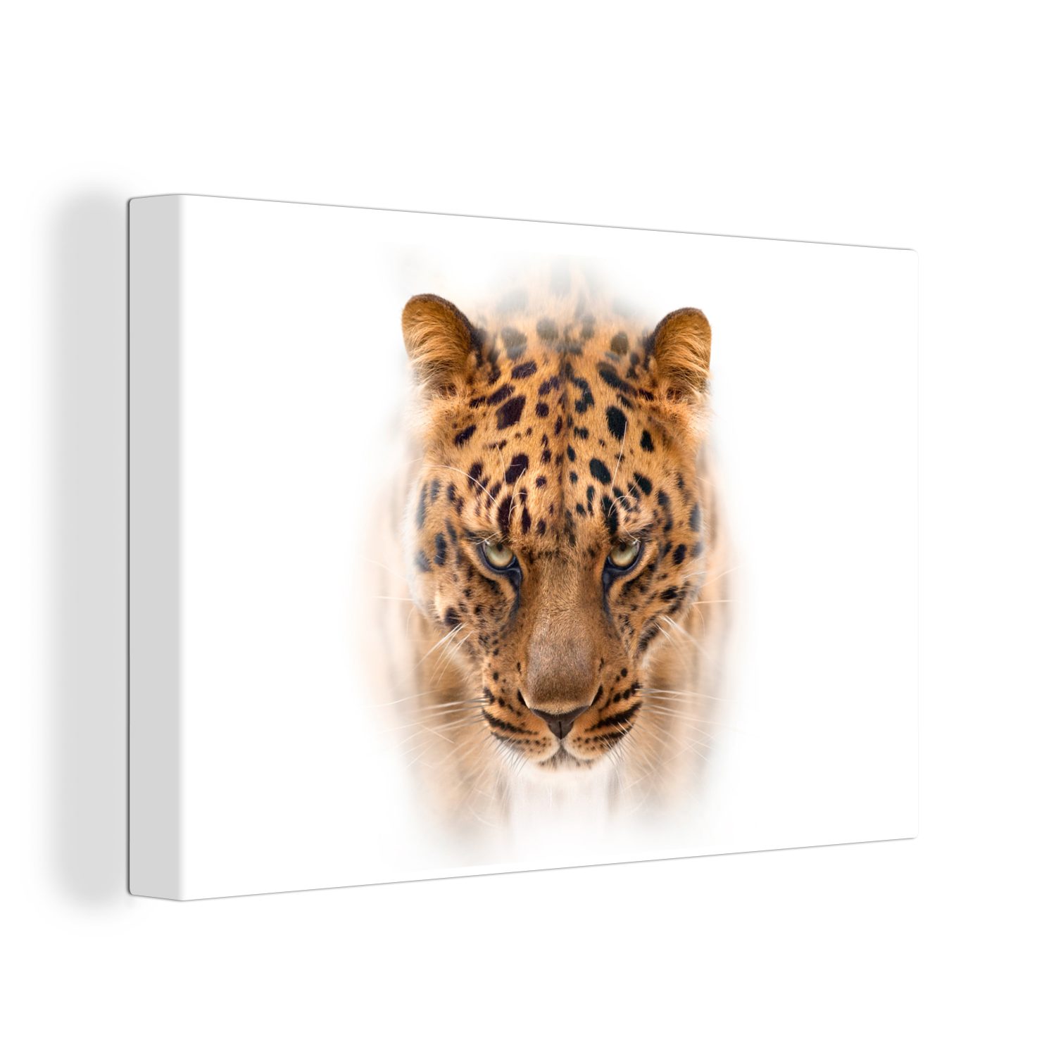 OneMillionCanvasses® Leinwandbild Leopard - Leinwandbilder, cm Gesicht, Wanddeko, (1 St), Aufhängefertig, Weiß - 30x20 Wandbild