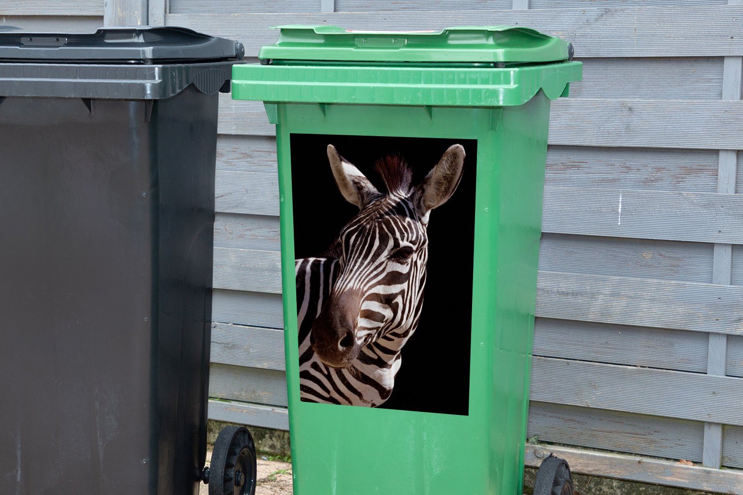 MuchoWow Wandsticker Neugieriges Container, auf Sticker, Abfalbehälter St), Hintergrund Mülltonne, (1 Zebra Mülleimer-aufkleber, schwarzem