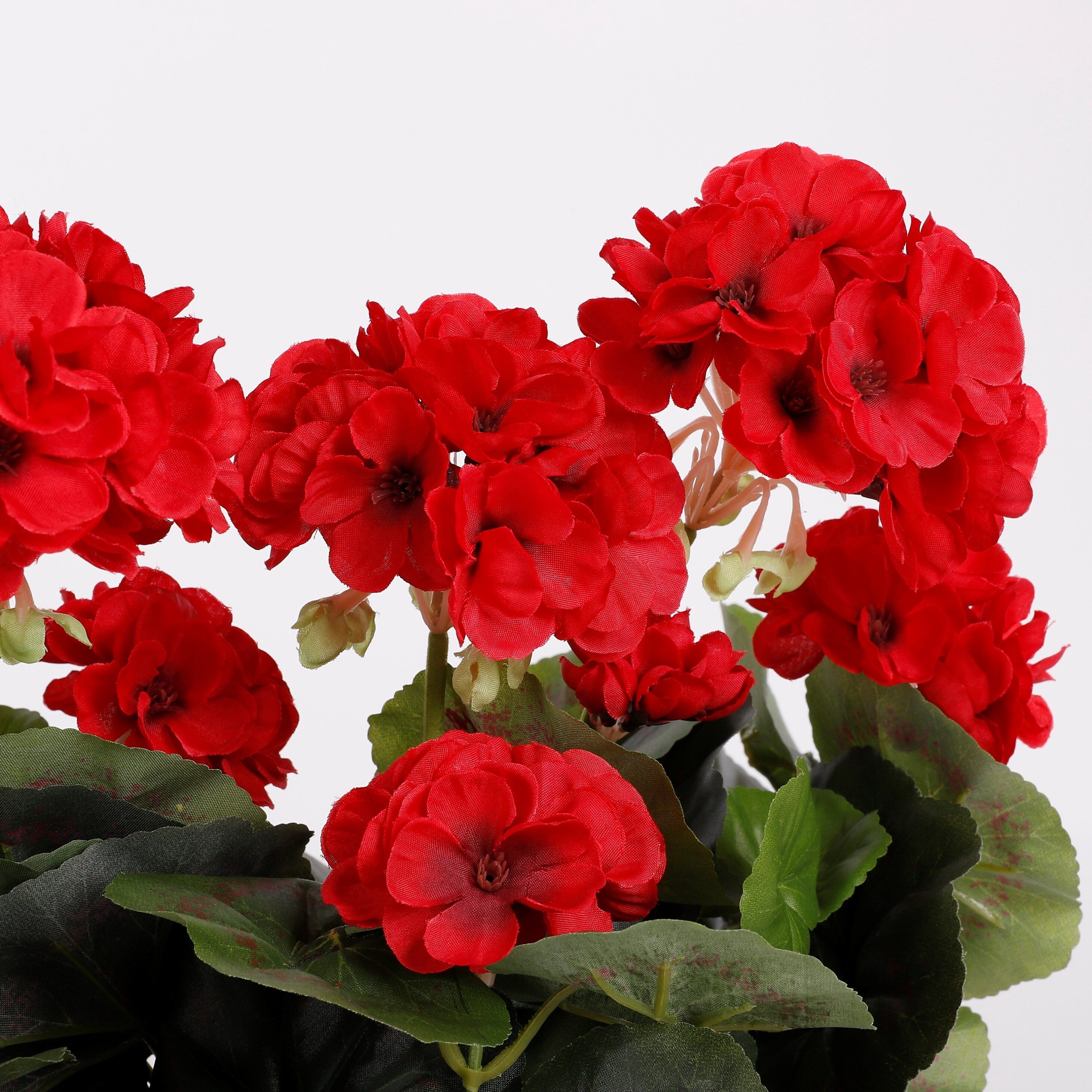 Kunstpflanze Mica Decorations Geranium rot in Balkonkaste terra - l29xb13xh40cm, Mica Decorations, Höhe 40 cm