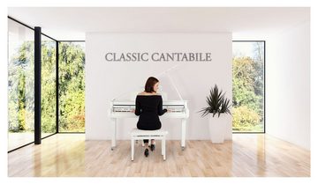 Classic Cantabile Digitalpiano GP-A 810 Digitalflügel Grand Piano Set 88 Tasten mit Hammermechanik (Spar-Set, inkl. Klavierbank, Kopfhörer & Schule), Layer-, Split- und Twinova-Piano-Funktion, Bluetooth, USB MIDI