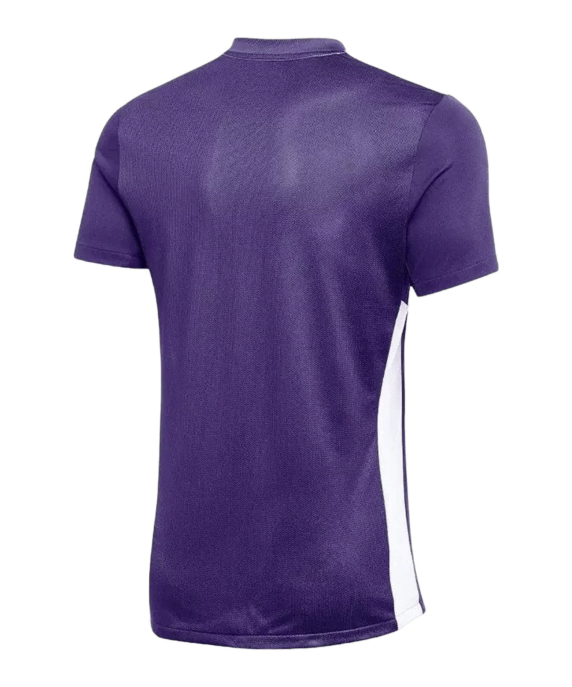 Nike Fußballtrikot Nike Performance Park Derby IV Trikot Trikots Teamsport günstig online kaufen