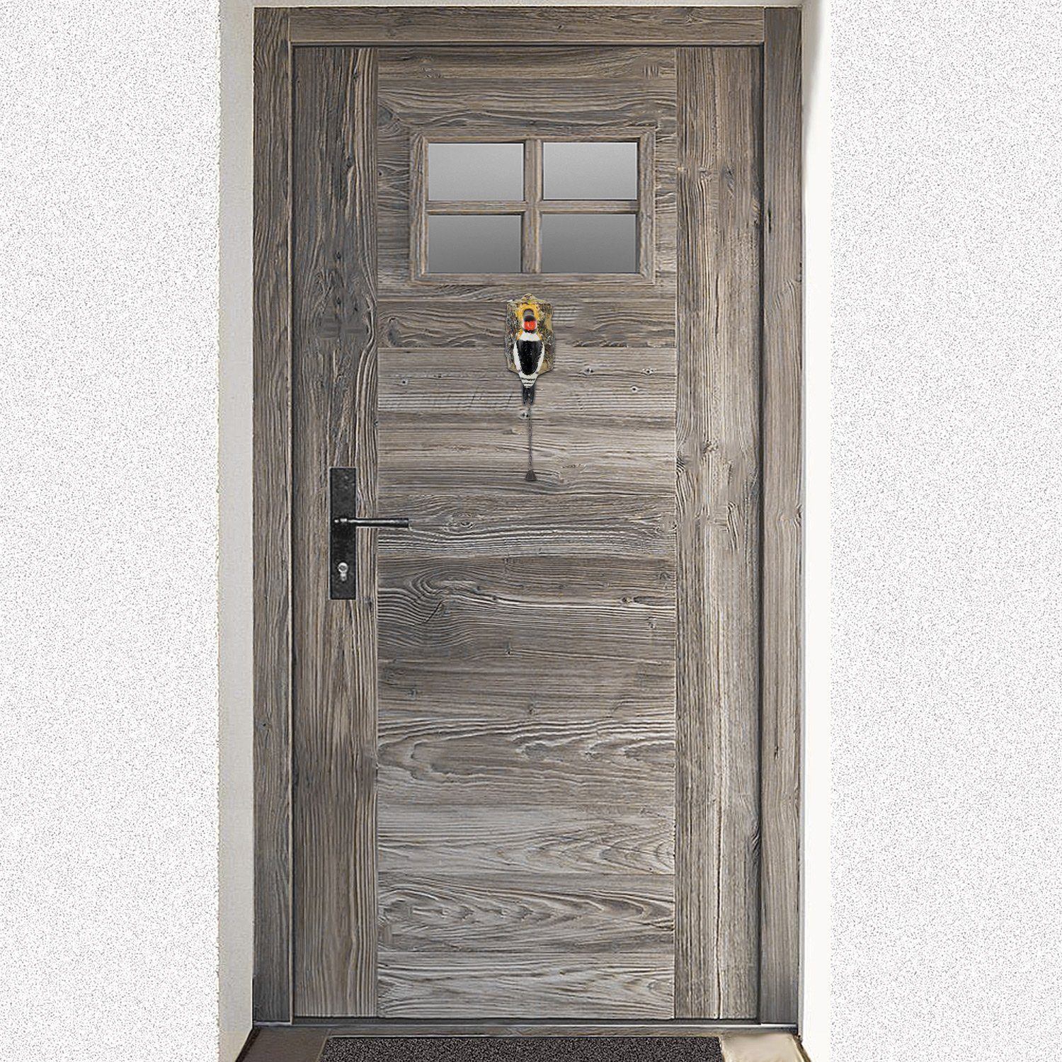 Moritz Dekoobjekt Türklopfer Specht, Türklopfer AntikStil Türklingel Rustik günstig online kaufen