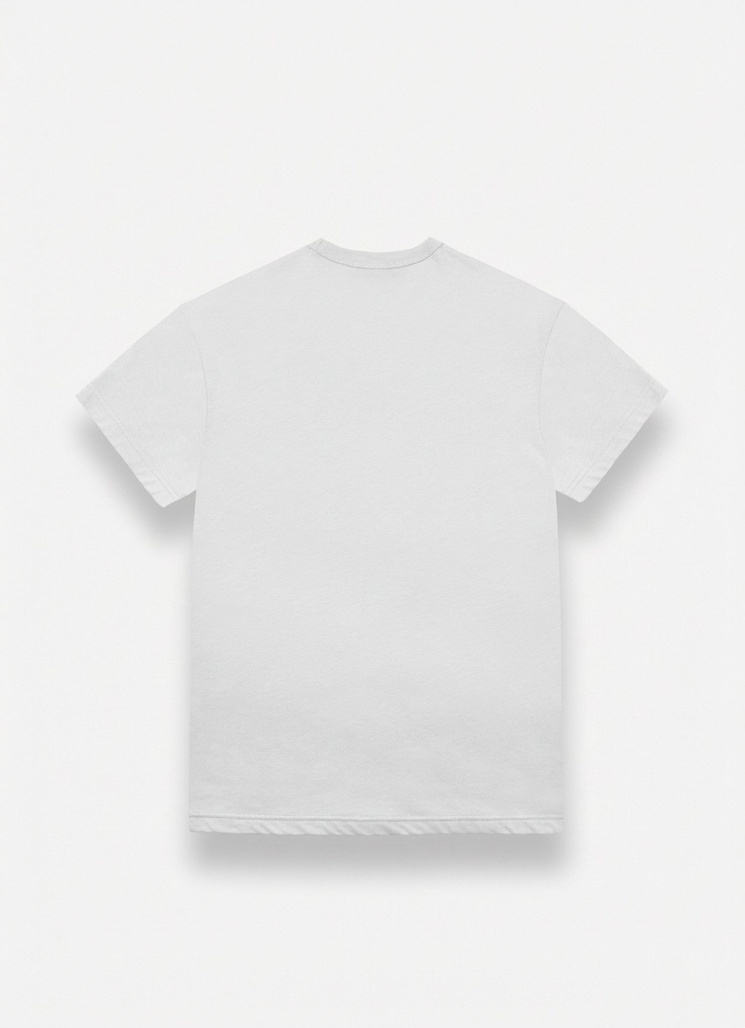 Colmar T-Shirt MENS T-SHIRT mit Logo, Rundhals, regular fit