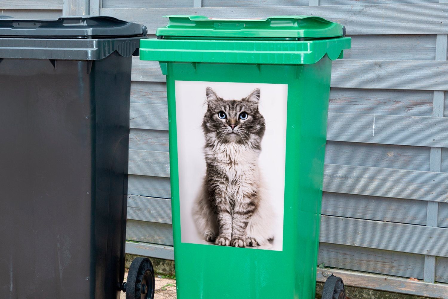 Wandsticker weißem St), Hintergrund mit Sticker, Augen blauen Mülltonne, Container, Abfalbehälter auf (1 Katze Mülleimer-aufkleber, MuchoWow