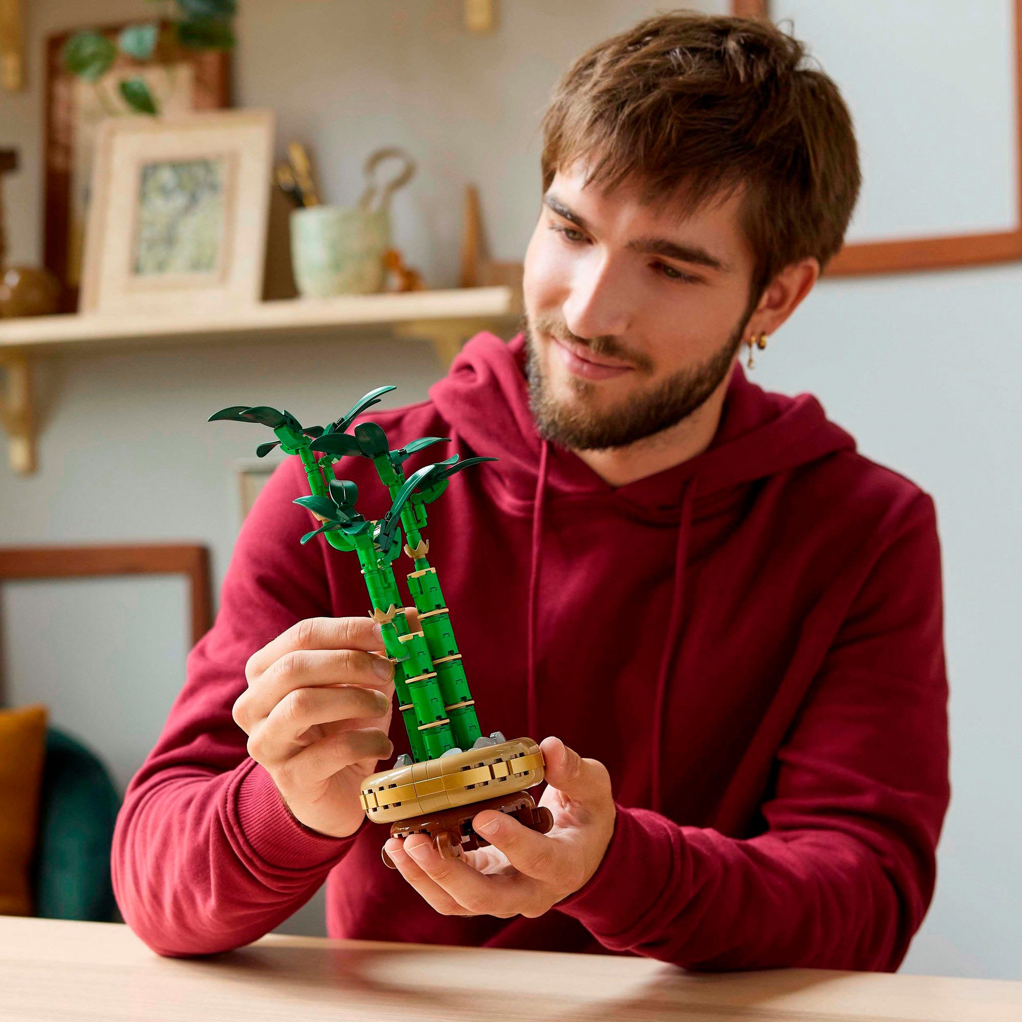 LEGO® Glücks-Bambus (10344), LEGO Botanicals Konstruktionsspielsteine, günstig online kaufen