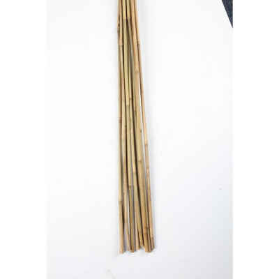 BURI Rankhilfe 10er Set Bambus-Stangen L 90cm, ø 8-10mm Rankhilfe Pflanzenstab Stange