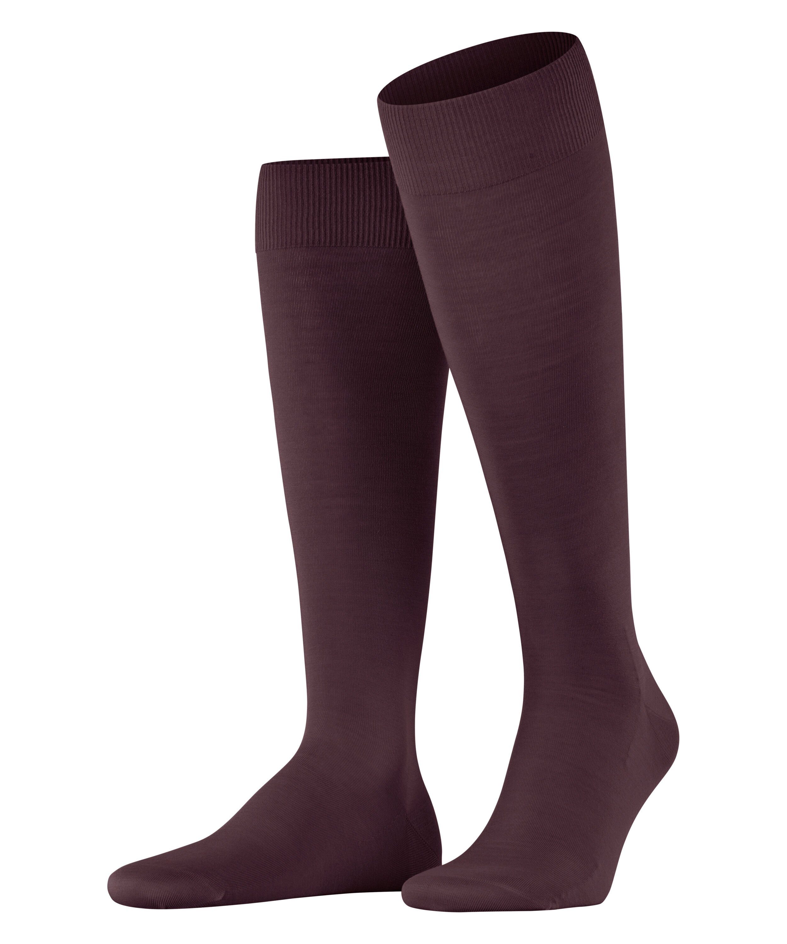 FALKE Kniestrümpfe ClimaWool (1-Paar) mit nachhaltigem Garn barolo (8596)