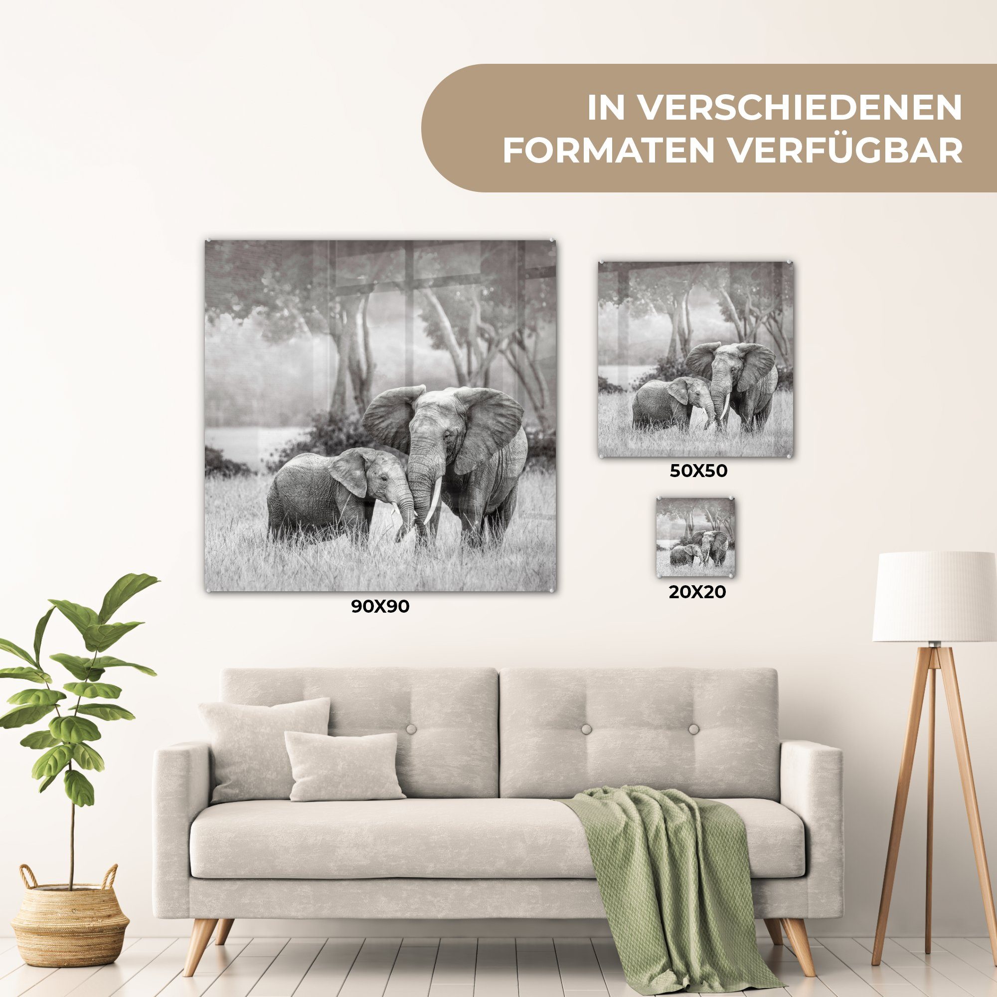 Acrylglasbild Schwarz Glas - Bilder - - - St), Glasbilder weiß, Foto MuchoWow Elefant und Wanddekoration Natur Glas auf - Wandbild Tiere auf - (1