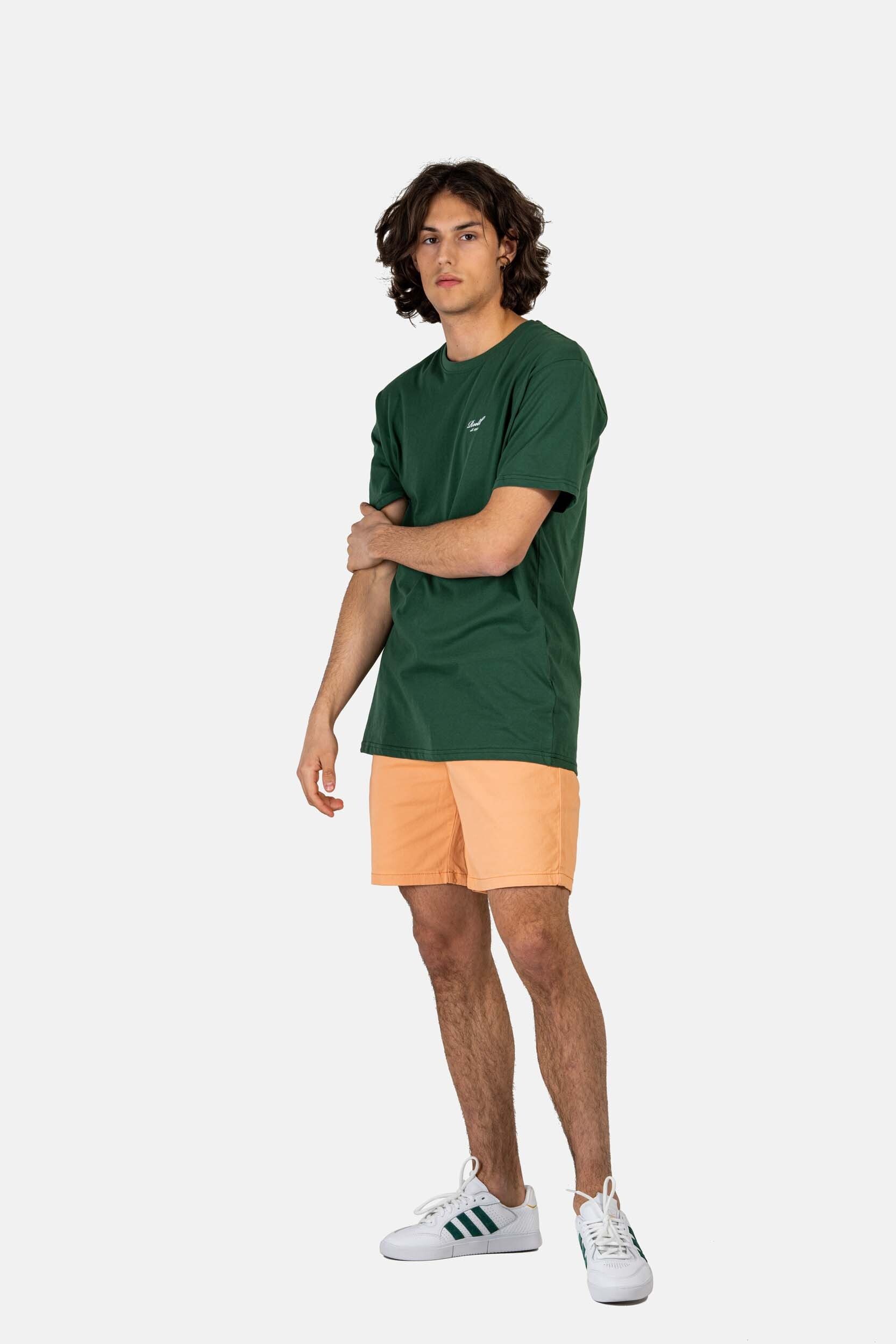 REELL Chinoshorts Reflex Easy
