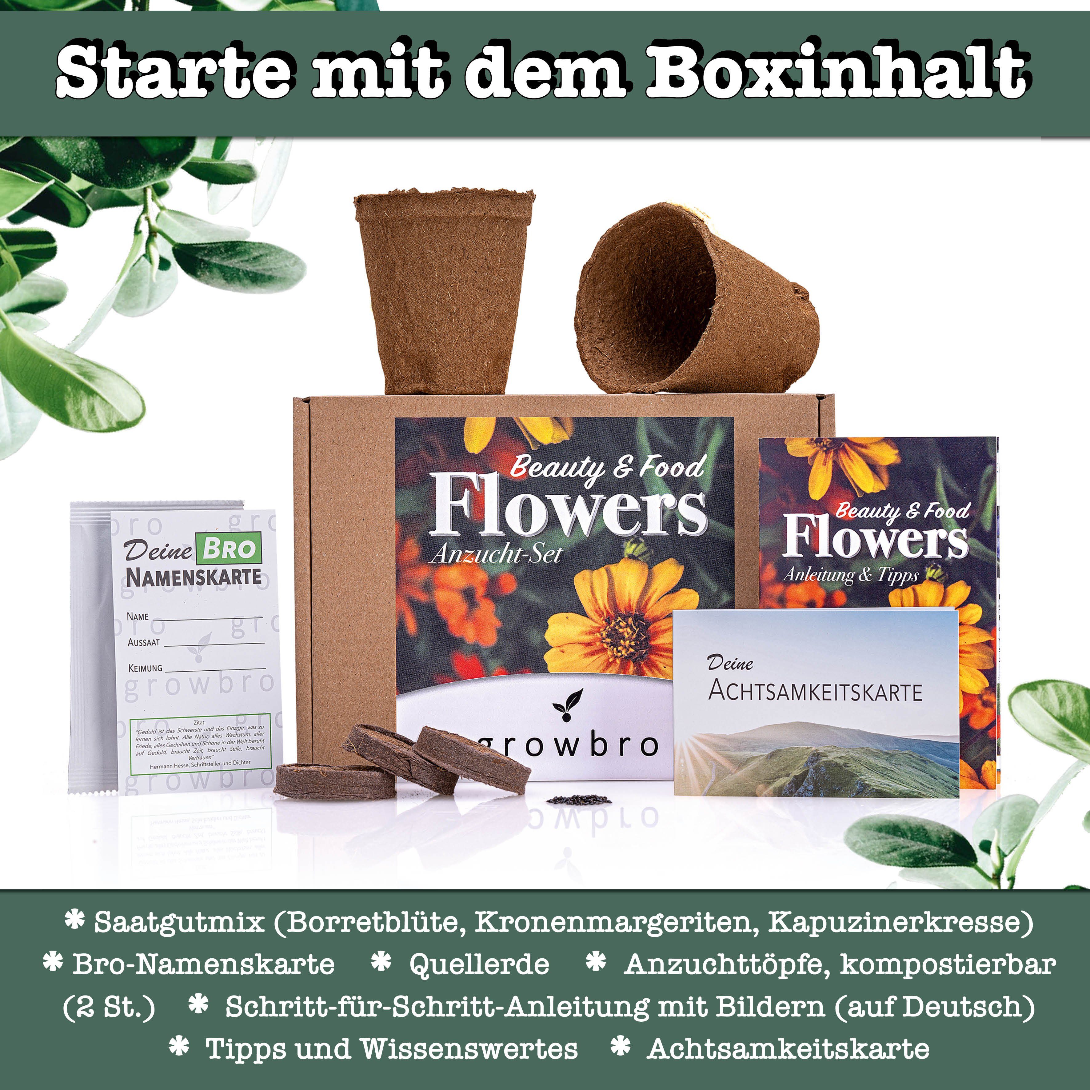Kunstbonsai FLOWER POWER Essbare Blüten Anzucht-Set, günstig online kaufen