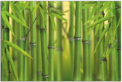Wallario Sichtschutzzaunmatten Grüner Bambuswald