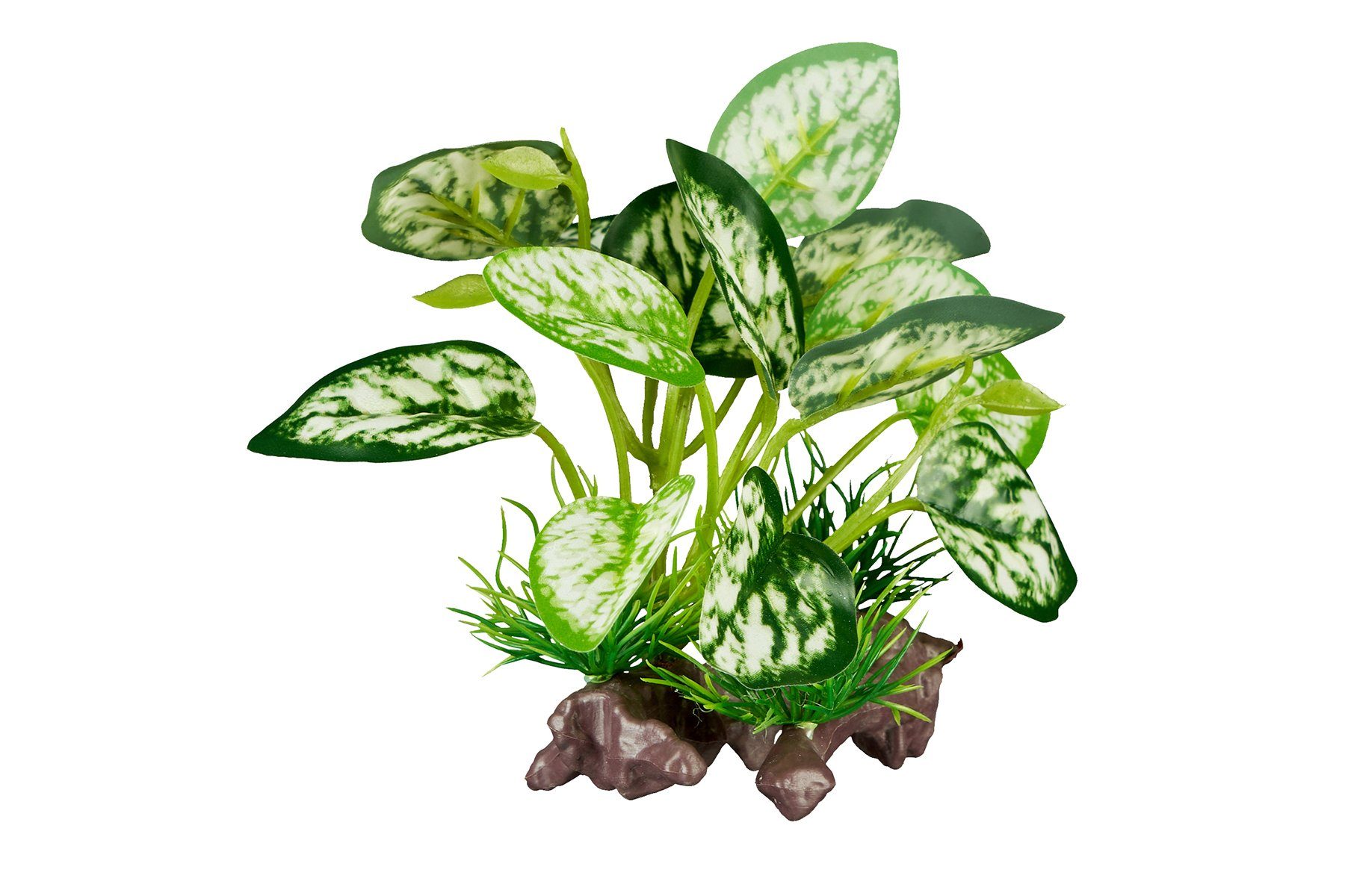 ReptiZoo Terrariendeko ReptiZoo Kunststoffpflanze "White scindapsus aureus" – Terrariendekora