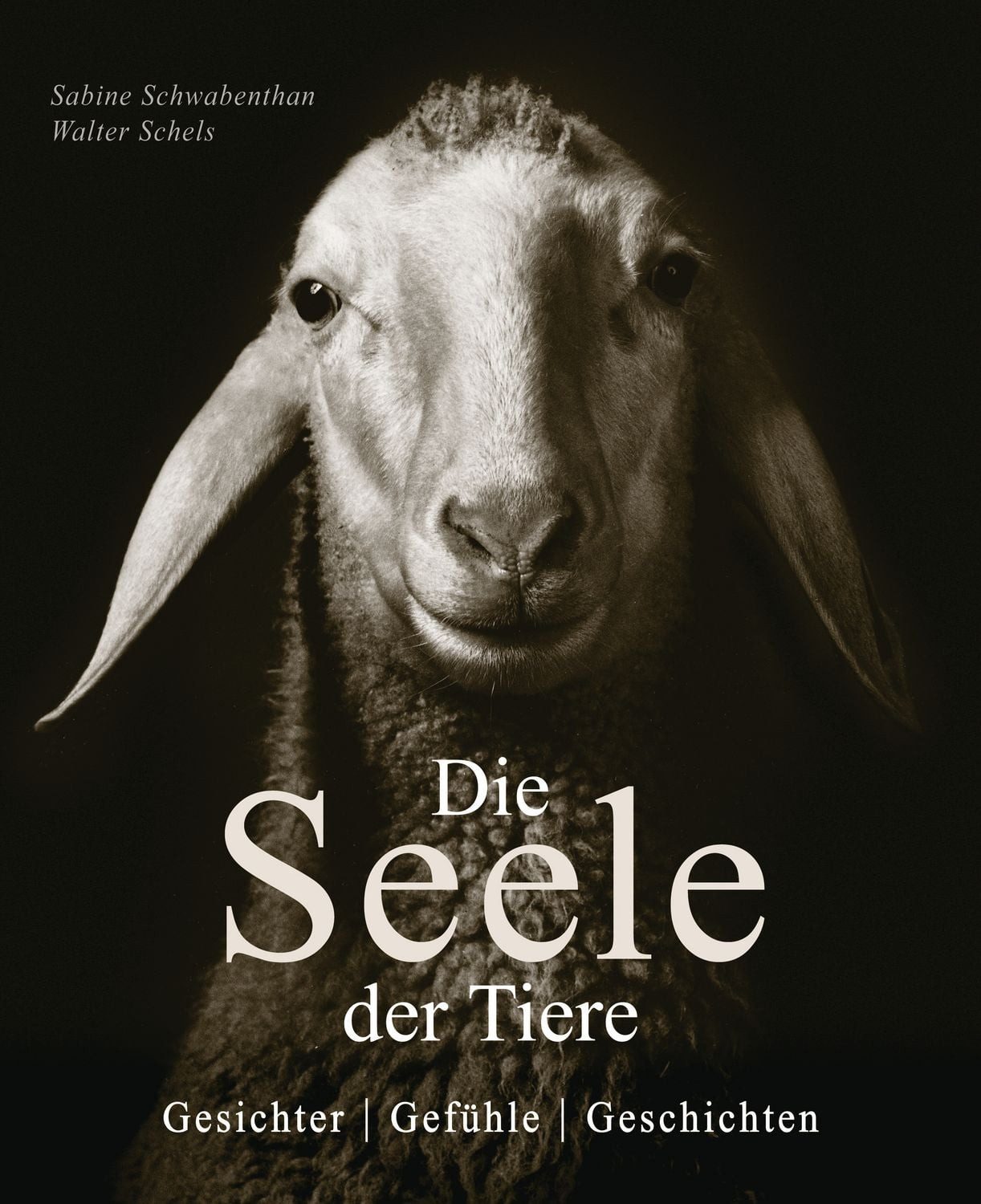 Die Seele der Tiere. Gesichter. Gefühle. Geschichten / Sabine Remy-Schwabenthan