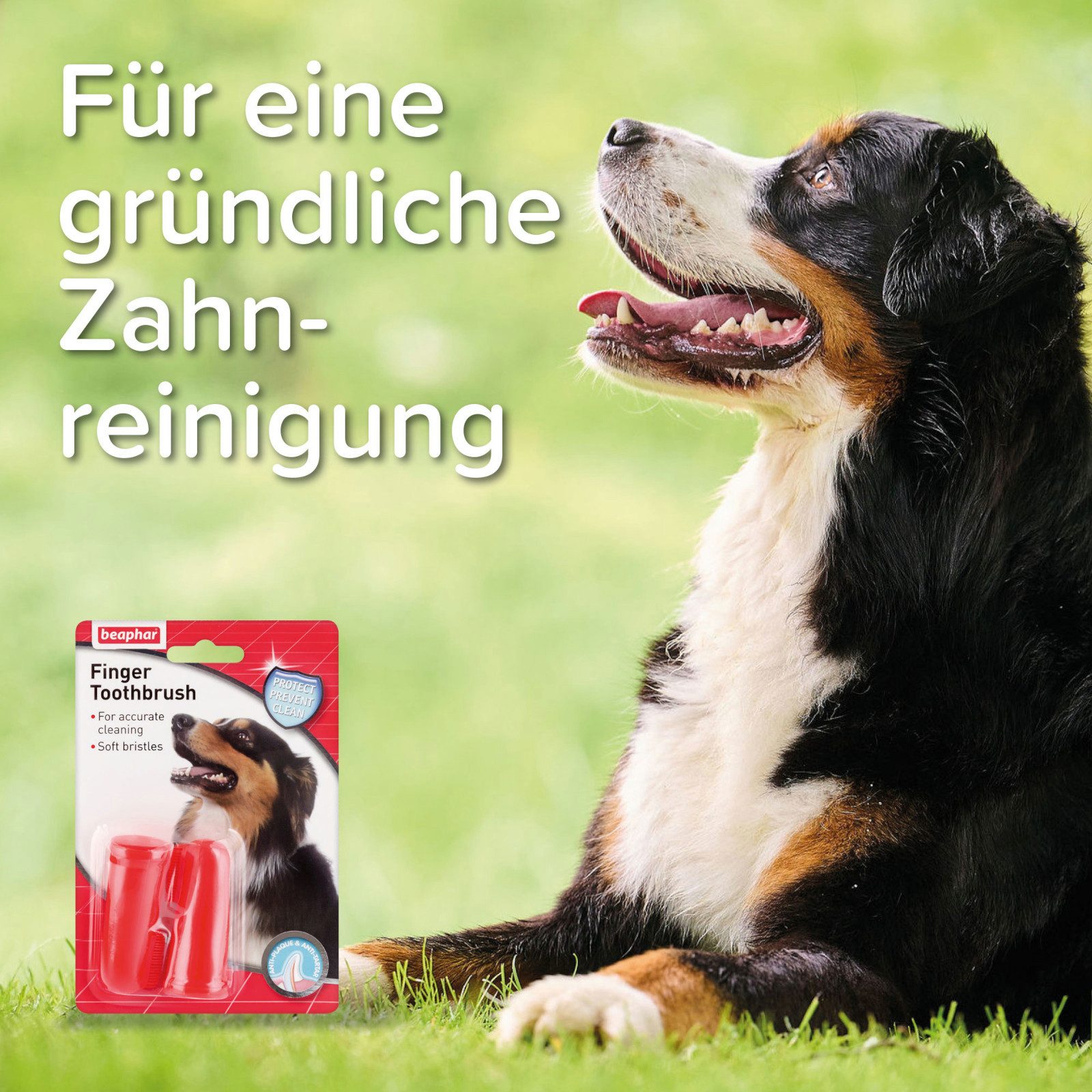 beaphar Tier-Fingerzahnbürste Dog-A-Dent Fingerzahnbürste für Hunde - 2 Stück