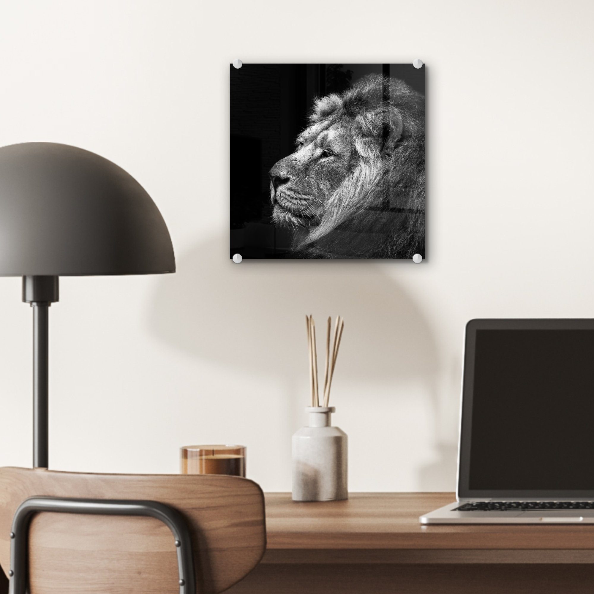 MuchoWow Acrylglasbild Löwe vor schwarz St), Wandbild Foto Glas Hintergrund und Bilder schwarzem auf - weiß, - (1 Glasbilder auf Glas - in Wanddekoration