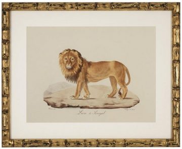 Casa Padrino Bilderrahmen Deko Bilder Set Löwen Tiger Jaguare Antik Gold 54 x H. 44 cm - Luxus Wanddekoration