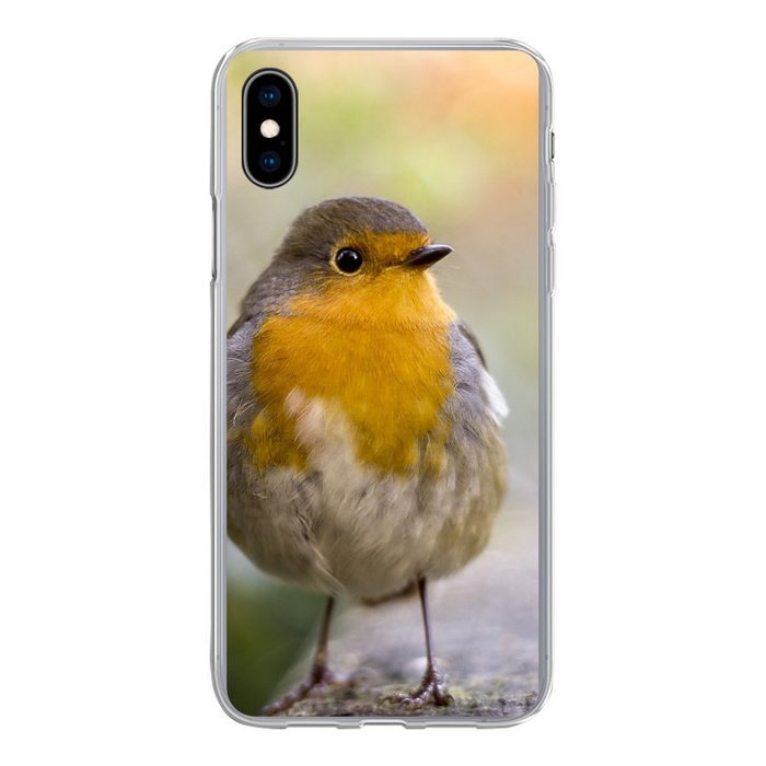 MuchoWow Handyhülle Vögel - Rotkehlchen - Baum Handyhülle Apple iPhone Xs Smartphone-Bumper Print Handy