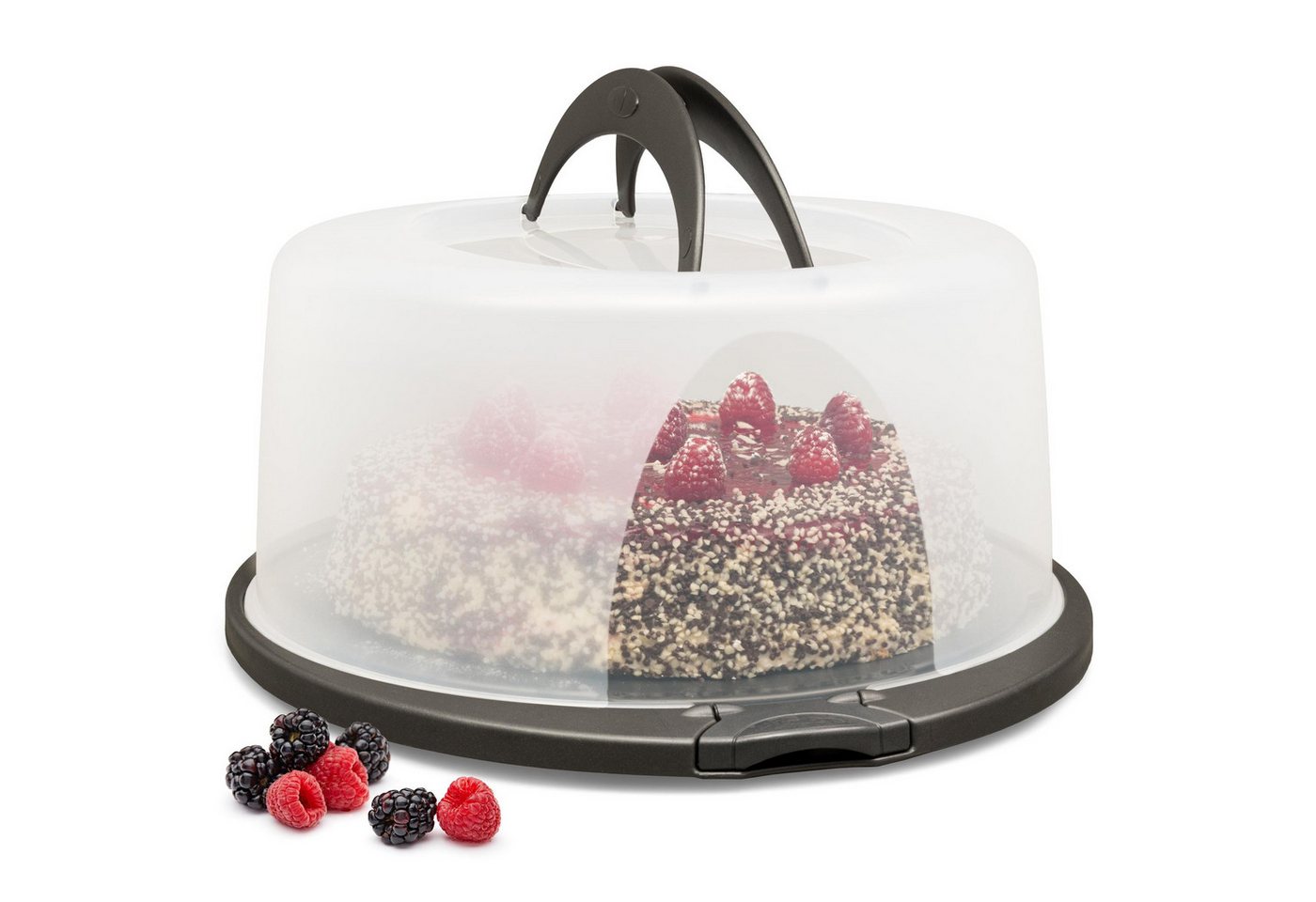 Hausfelder Kuchentransportbox Tortentransportbox rund, Tortenbehälter mit Haube (Tortenglocke), (Set, 1-tlg., 1 Box), mit Klick-Verschlüssen, spülmaschinenfest, BPA-frei