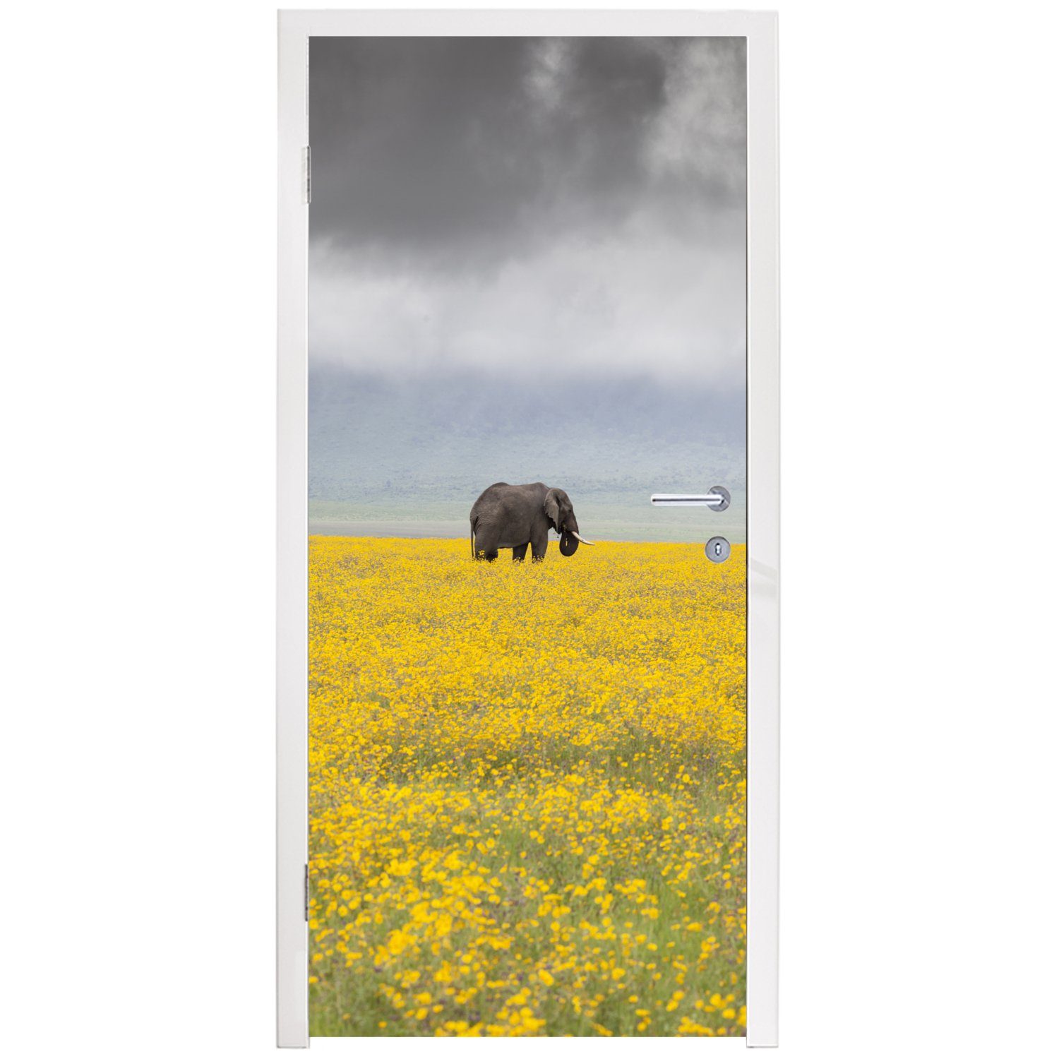 - Gelb Elefant - St), bedruckt, (1 Natur - Matt, für - Türtapete 75x205 Tür, Blumen Fototapete Türaufkleber, Tiere, MuchoWow cm