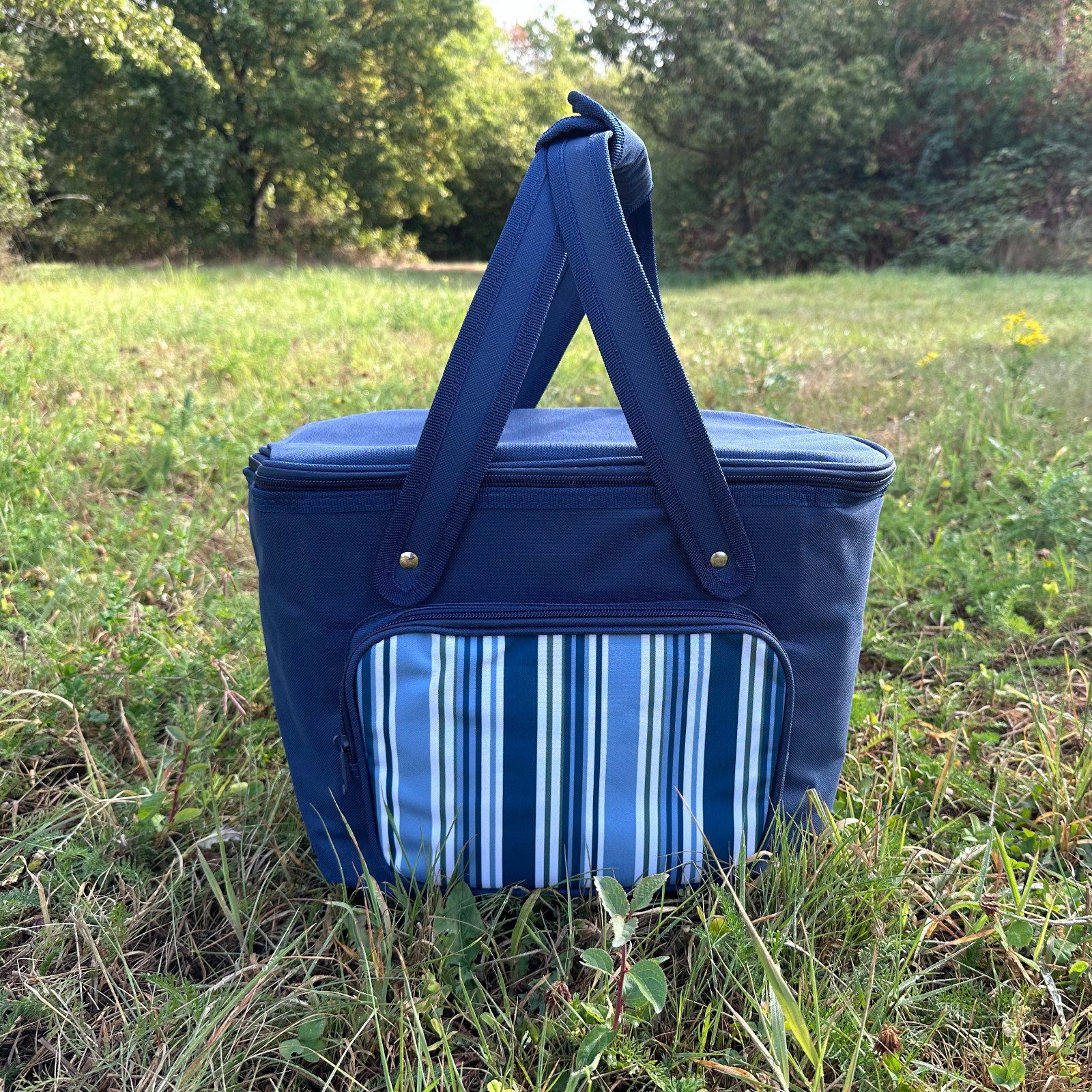 SVITA Korbtasche, Kühltasche, Tragetasche, Kühlbox, Lunchtasche, mit Tragegriffen