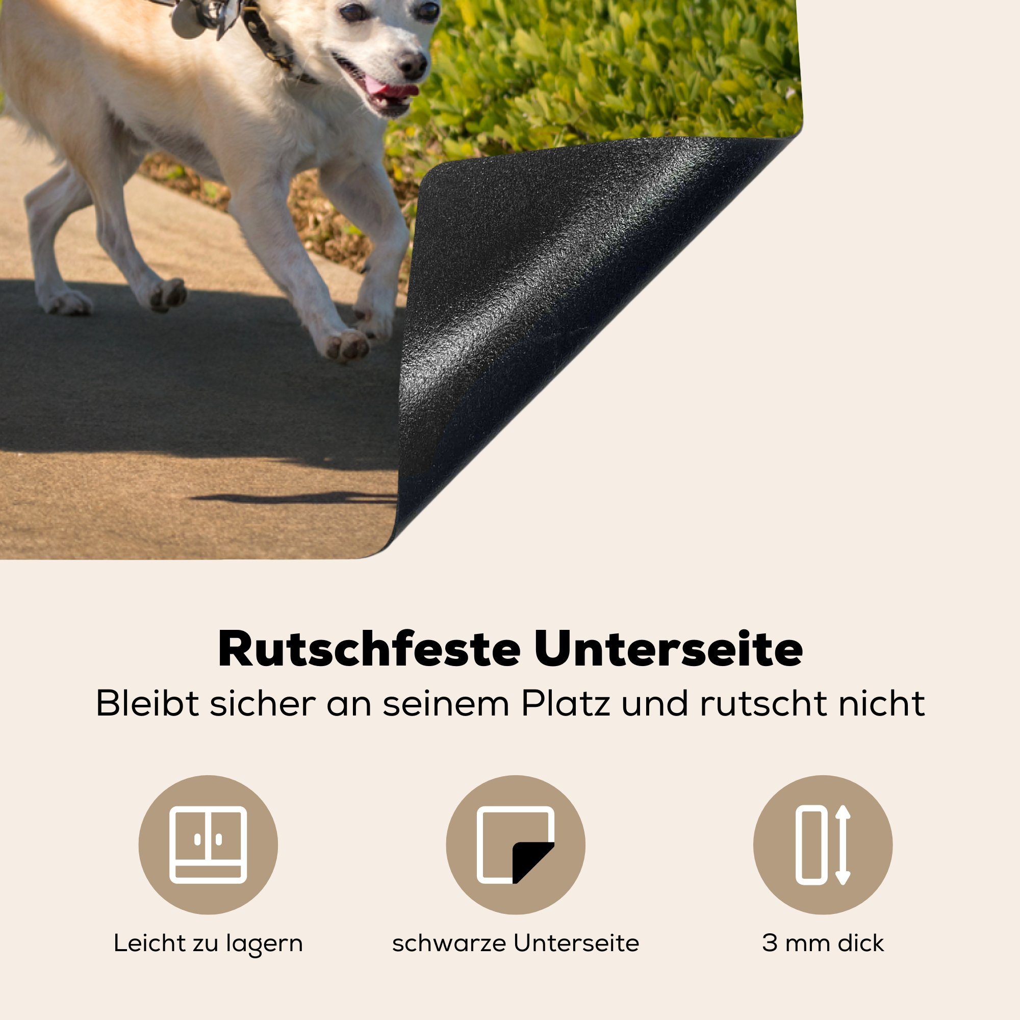 MuchoWow Herdblende-/Abdeckplatte Hund - Seil die Ceranfeldabdeckung Park, Schutz cm, Vinyl, für Induktionskochfeld tlg), - (1 küche, 81x52