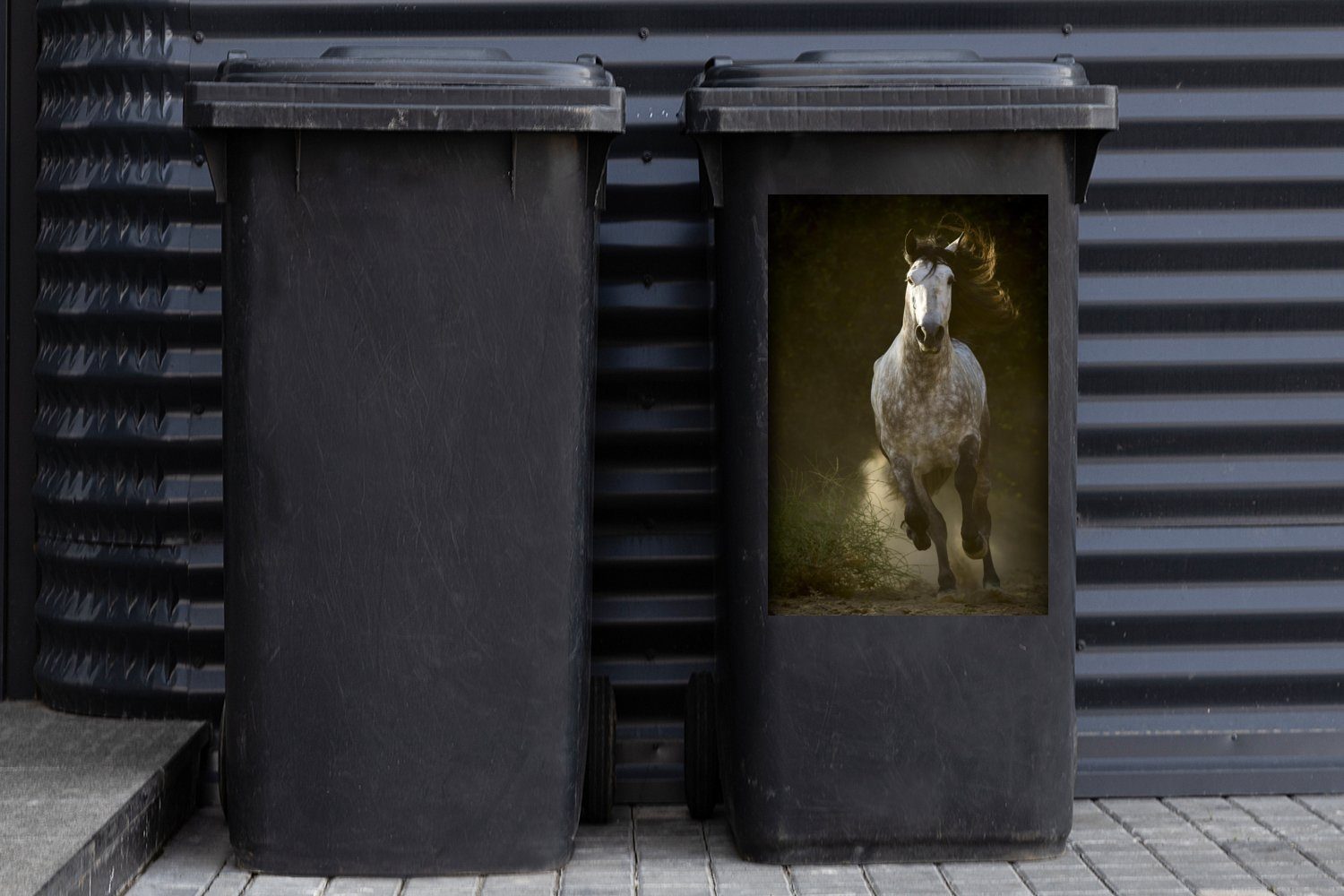 - MuchoWow St), Container, - Abfalbehälter Mülleimer-aufkleber, Mülltonne, Wandsticker Sticker, Andalusier Grau - (1 Pferd Sand