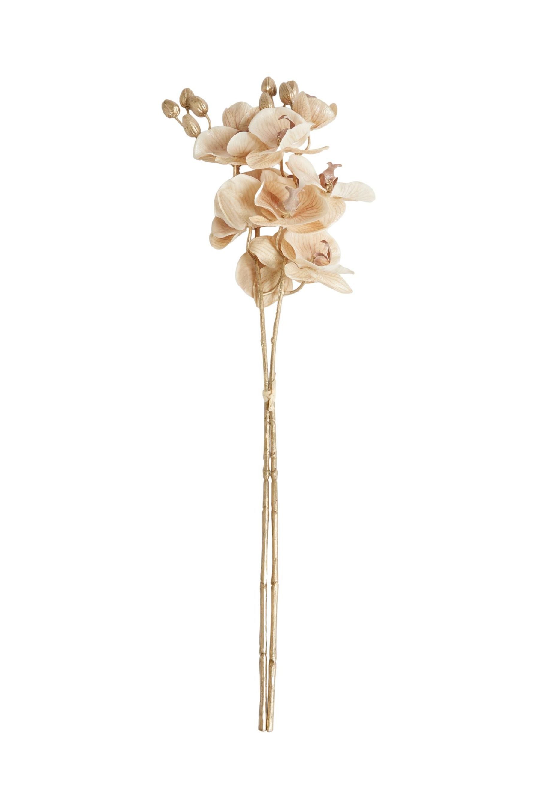 Kunstzweig Orchidee-Stiele, 2er-Set, Next