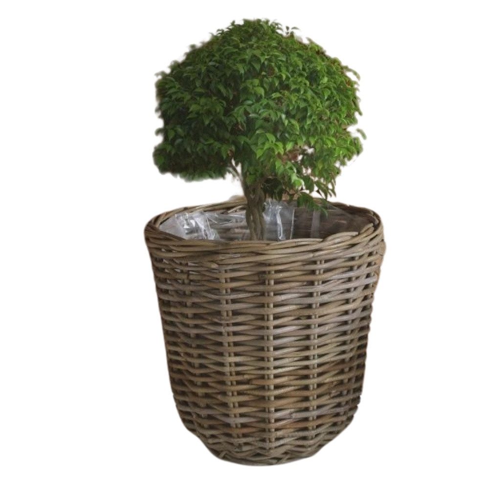Pflanzschale Natur Rattan Pflanzkorb BORKUM Kubu Grey ca.35cm Pflanztopf
