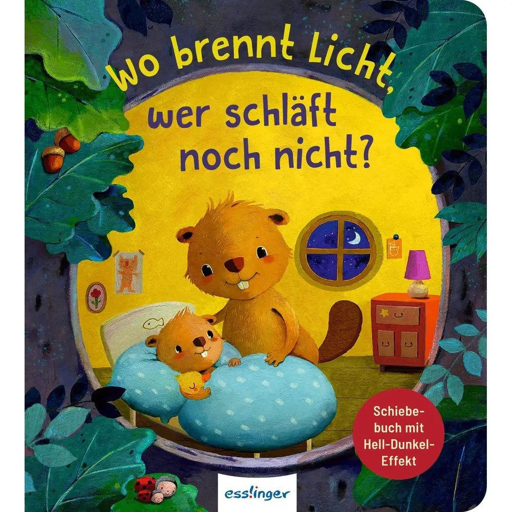 Vedes Zeichenalbum Wo brennt Licht, wer schläft noch nicht?