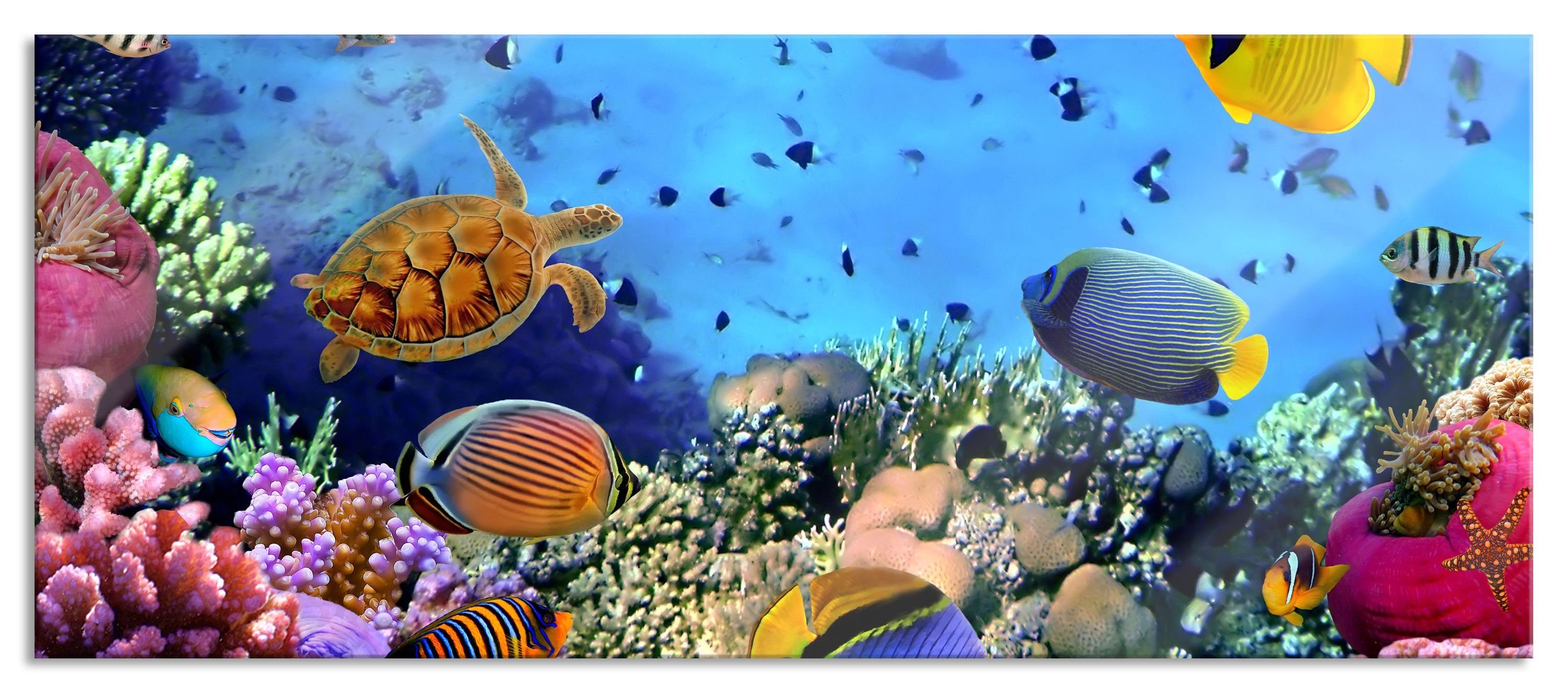 Pixxprint und Fische Glasbild Korallenriff Echtglas, Korallenriff, Abstandshalter über Glasbild Aufhängungen (1 inkl. St), aus Fische über