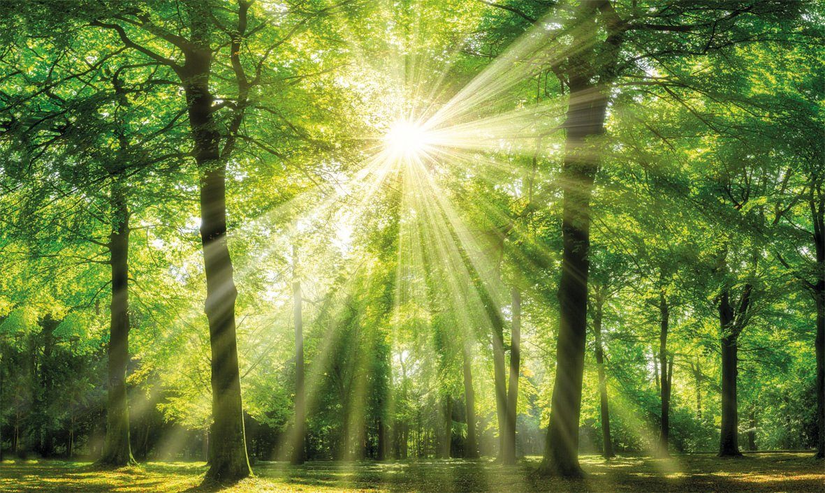 Leinwandbild Sonnenstrahl