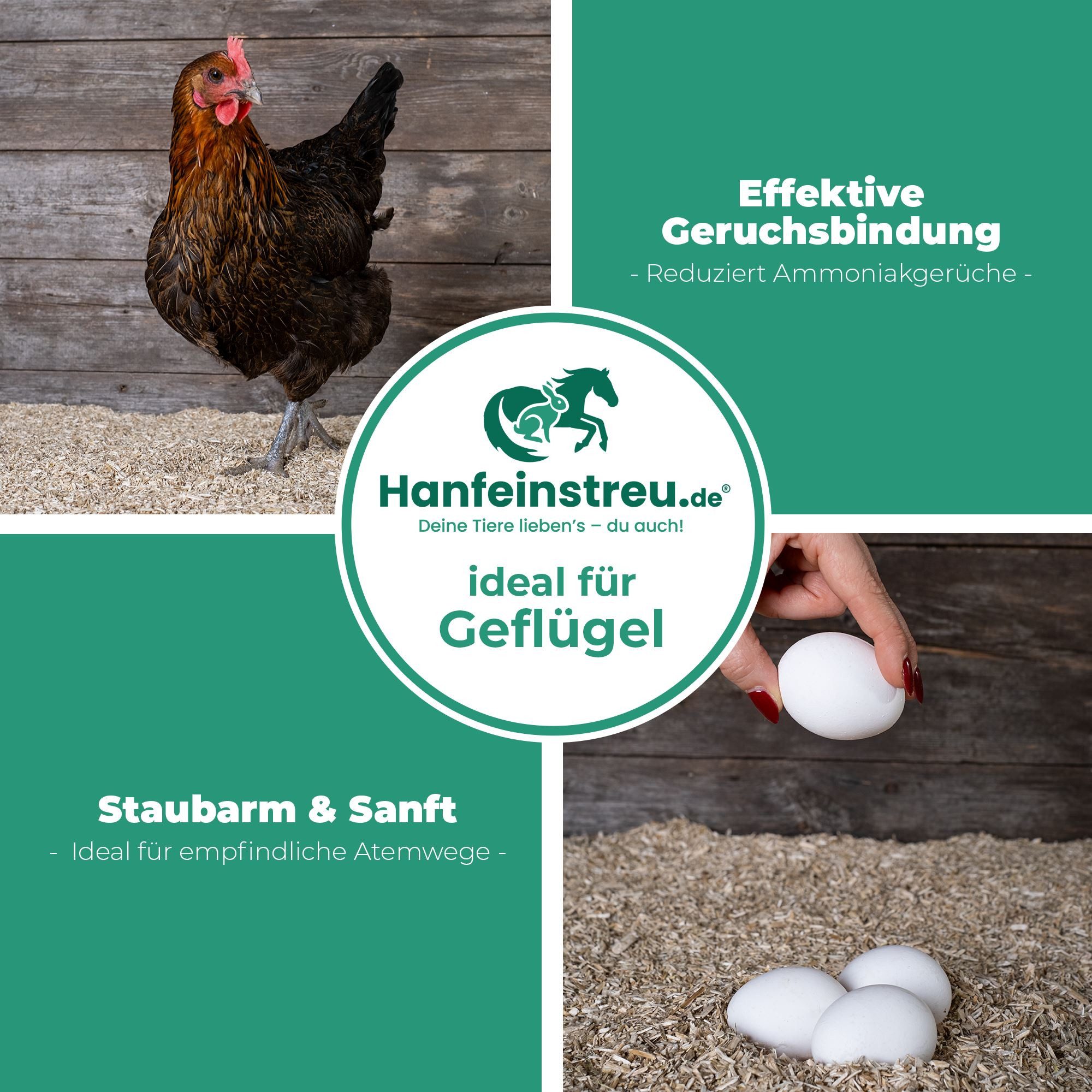 Nagerteppich.de Kleintierstreu Hanfeinstreu mit Lavendel - 30 Liter - Saugstark, natürlich & duftend