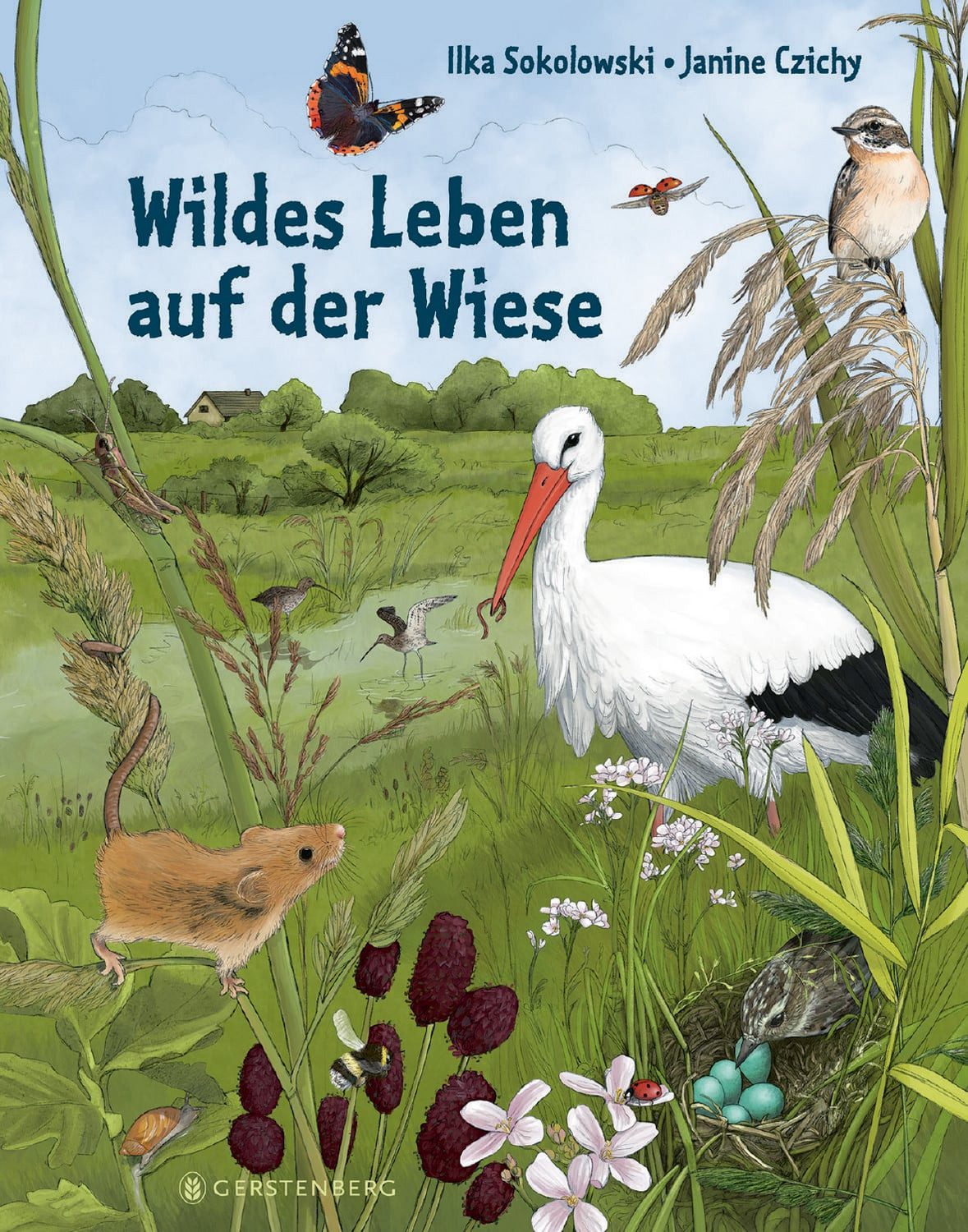 Wildes Leben auf der Wiese / Ilka Sokolowski