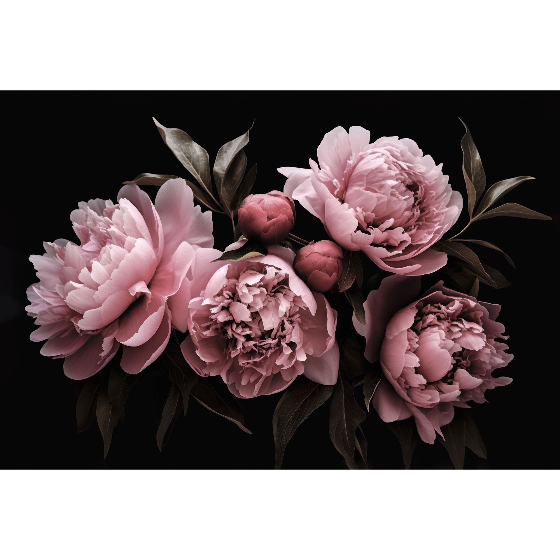 K&L Wall Art Vliestapete XXL Fototapete Natur Blumentapete große Naturtapete, floral, bedruckt, matt