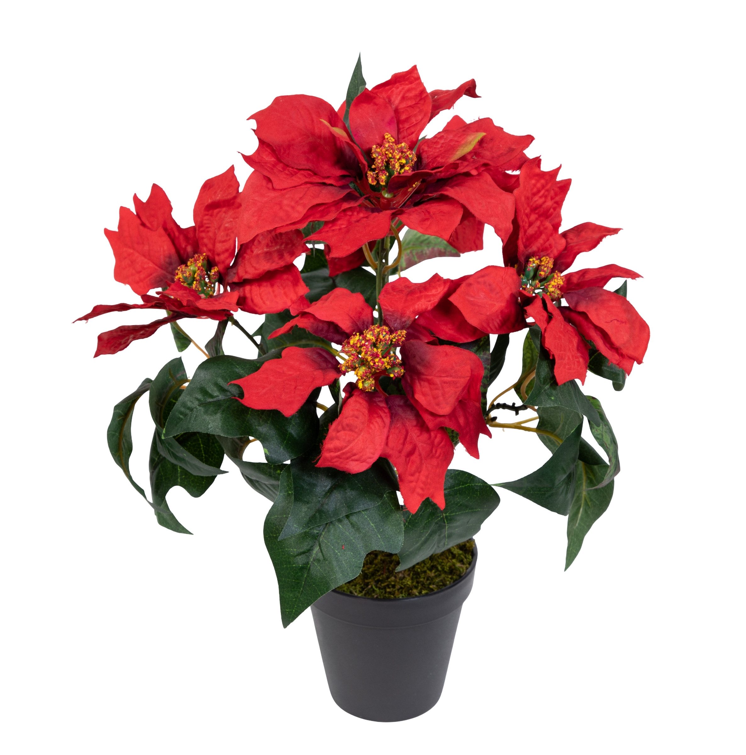 Kunstblume Weihnachtsstern im Topf 36cm PF günstig online kaufen