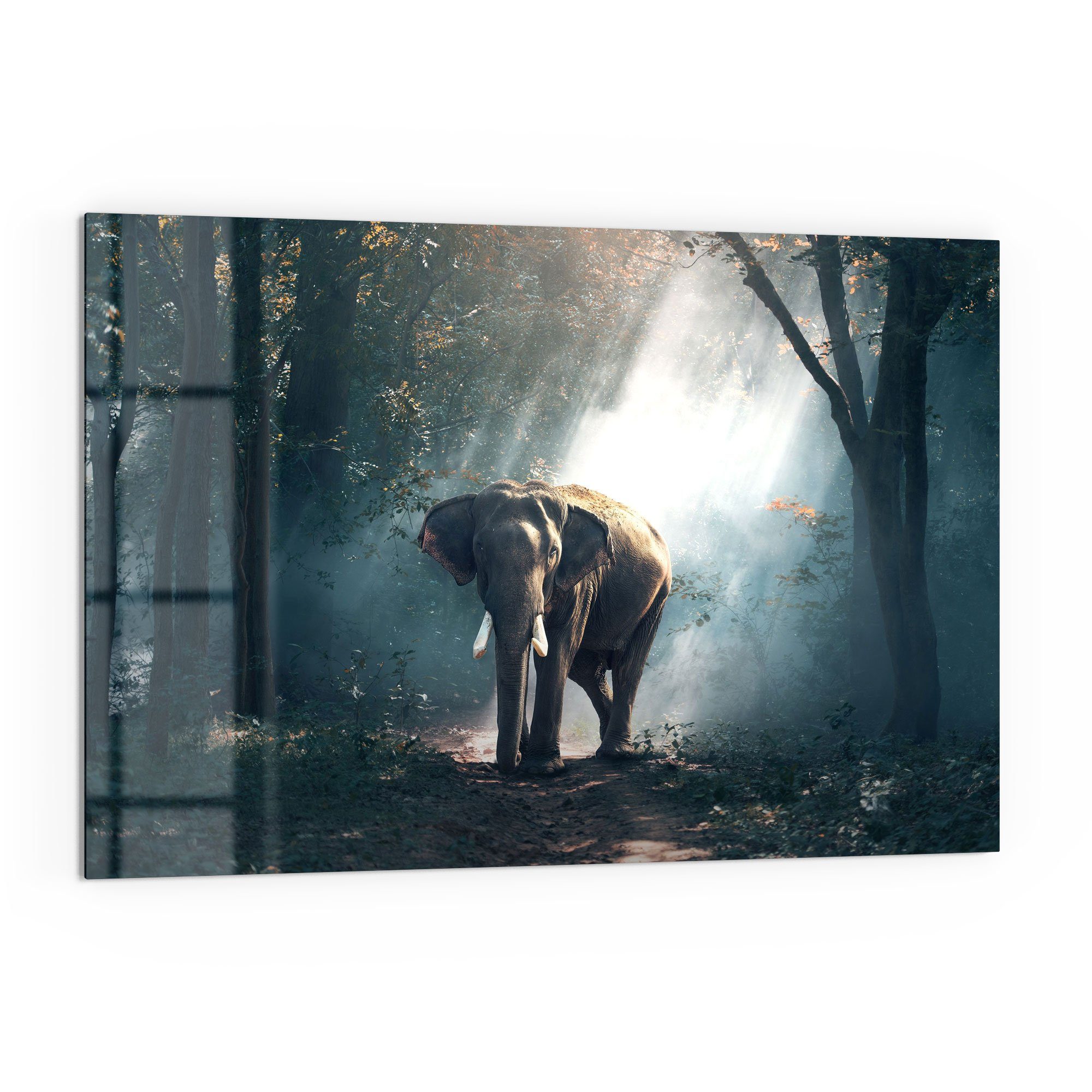 DEQORI Küchenrückwand 'Elefant im Wald', Glas Spritzschutz Badrückwand Herdblende