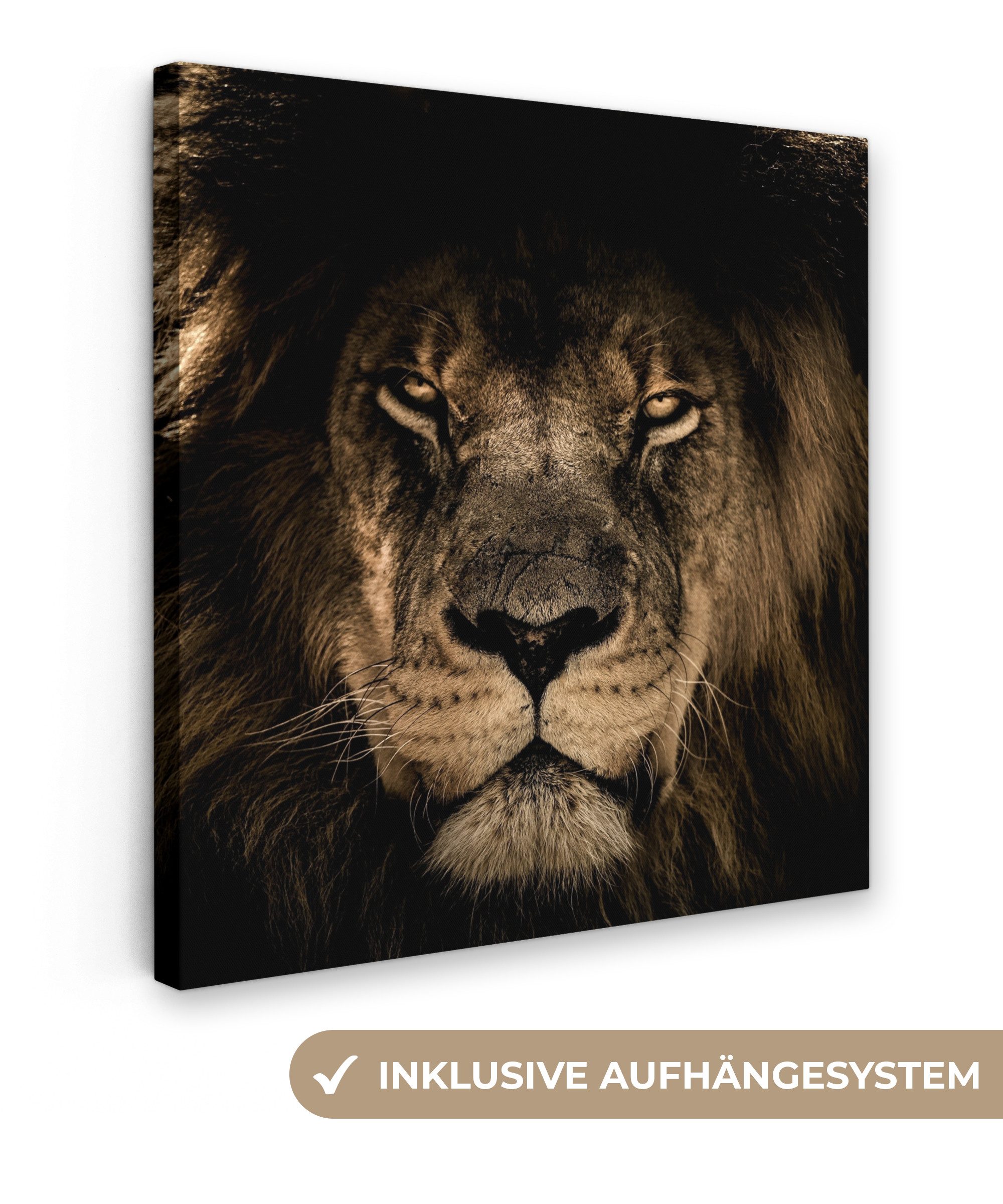 OneMillionCanvasses® Leinwandbild Löwe - Tiere - Schwarz - Porträt, Fotodruck (1 St), Wandbild, Deko Schlafzimmer Wohnzimmer Flur 20x20 cm