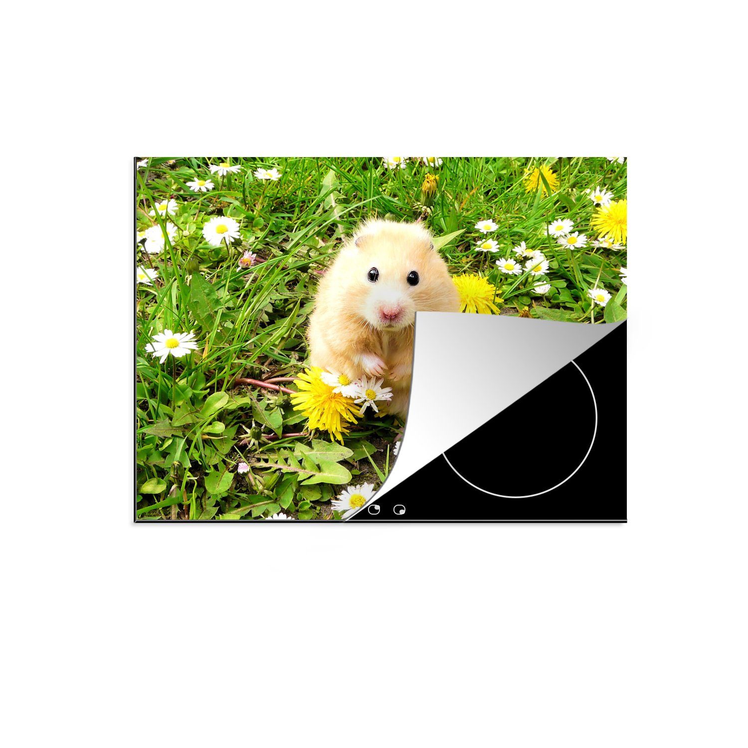 - (1 die cm, - tlg), Induktionskochfeld Gras, küche, Vinyl, Hamster Ceranfeldabdeckung Schutz für Herdblende-/Abdeckplatte MuchoWow Blumen 71x52