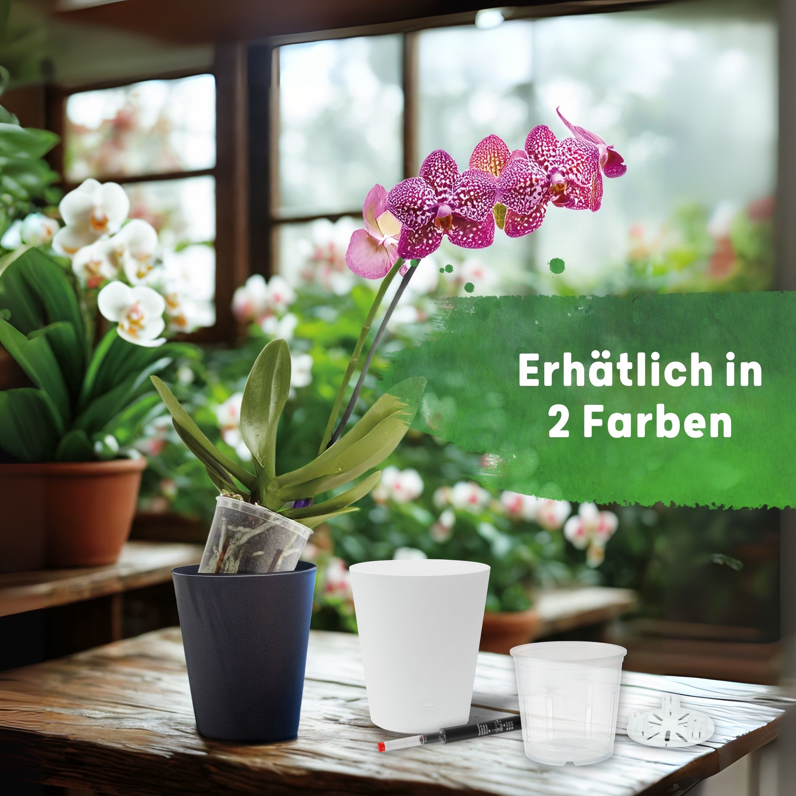 LENI Blumentopf Flori Orchideentopf Kunststoff matt genarbt Weiß Komplettset 2er-Pack (Komplett-Set, 2 St., mit Übertopf, Innentopf, Drainagescheibe, und Gießanzeiger), zum Umtopfen für Orchideen