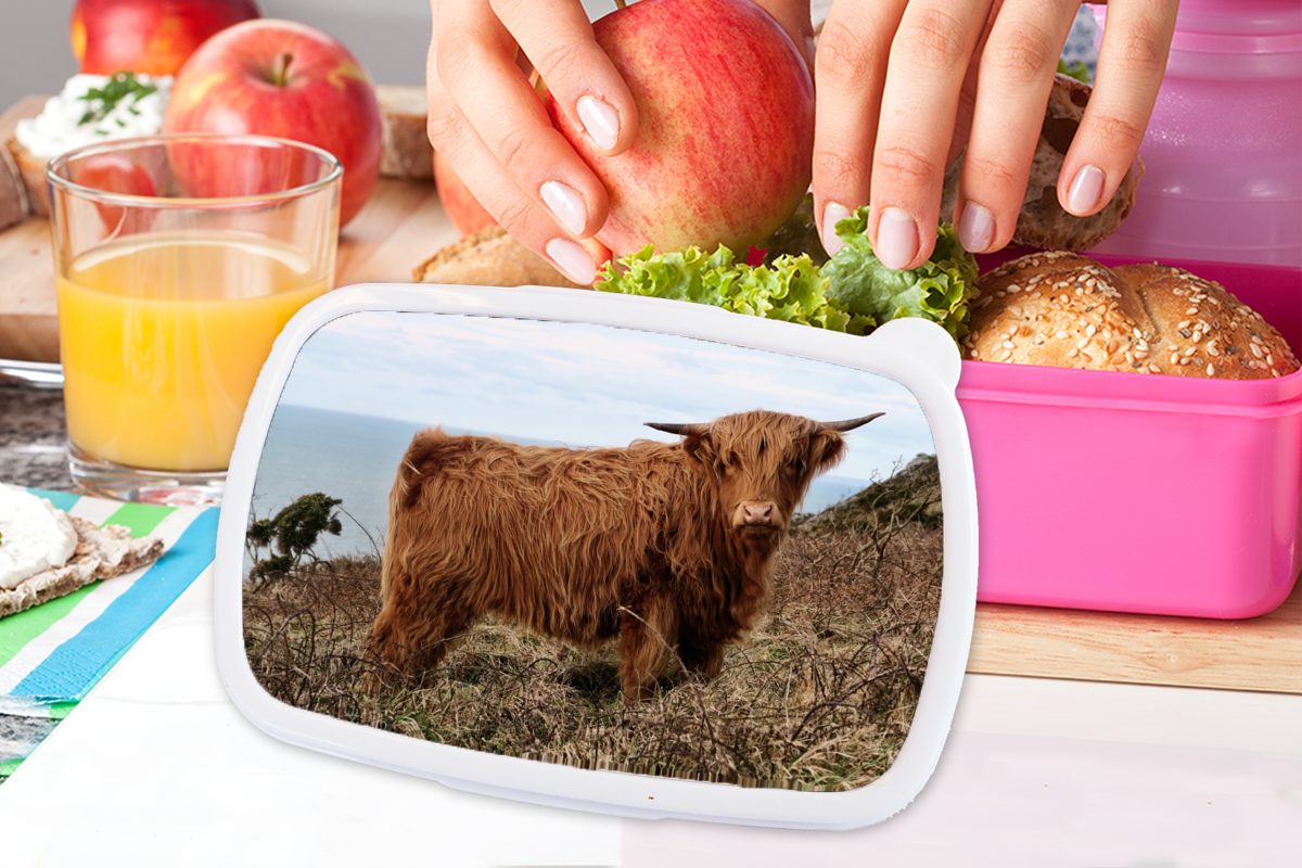 Mädchen, Kunststoff, für Kinder, Lunchbox Snackbox, (2-tlg), - Schottischer rosa Highlander, - Brotdose Pflanzen Kuh Erwachsene, Brotbox Kunststoff MuchoWow