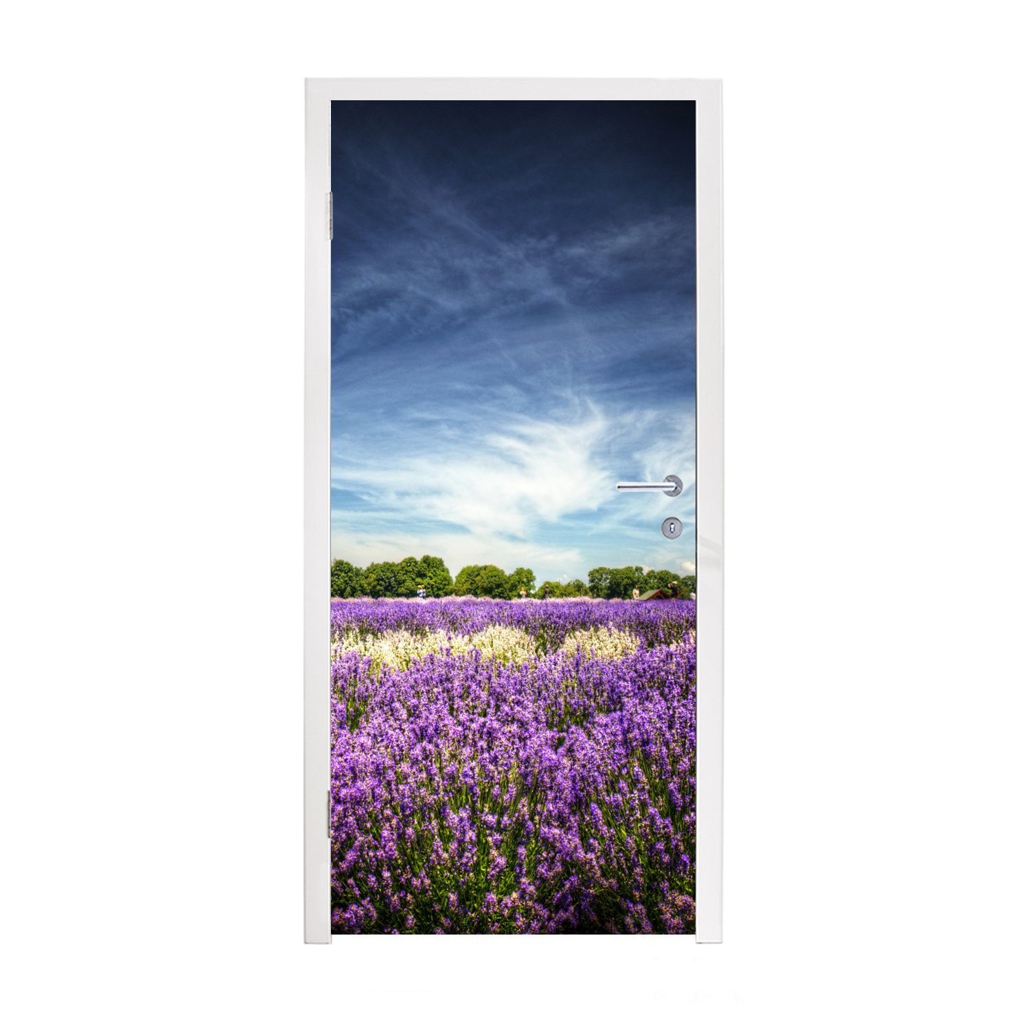 MuchoWow Türtapete Blauer Himmel über Lavendel in der Natur, Matt, bedruckt, (1 St), Fototapete für Tür, Türaufkleber, 75x205 cm