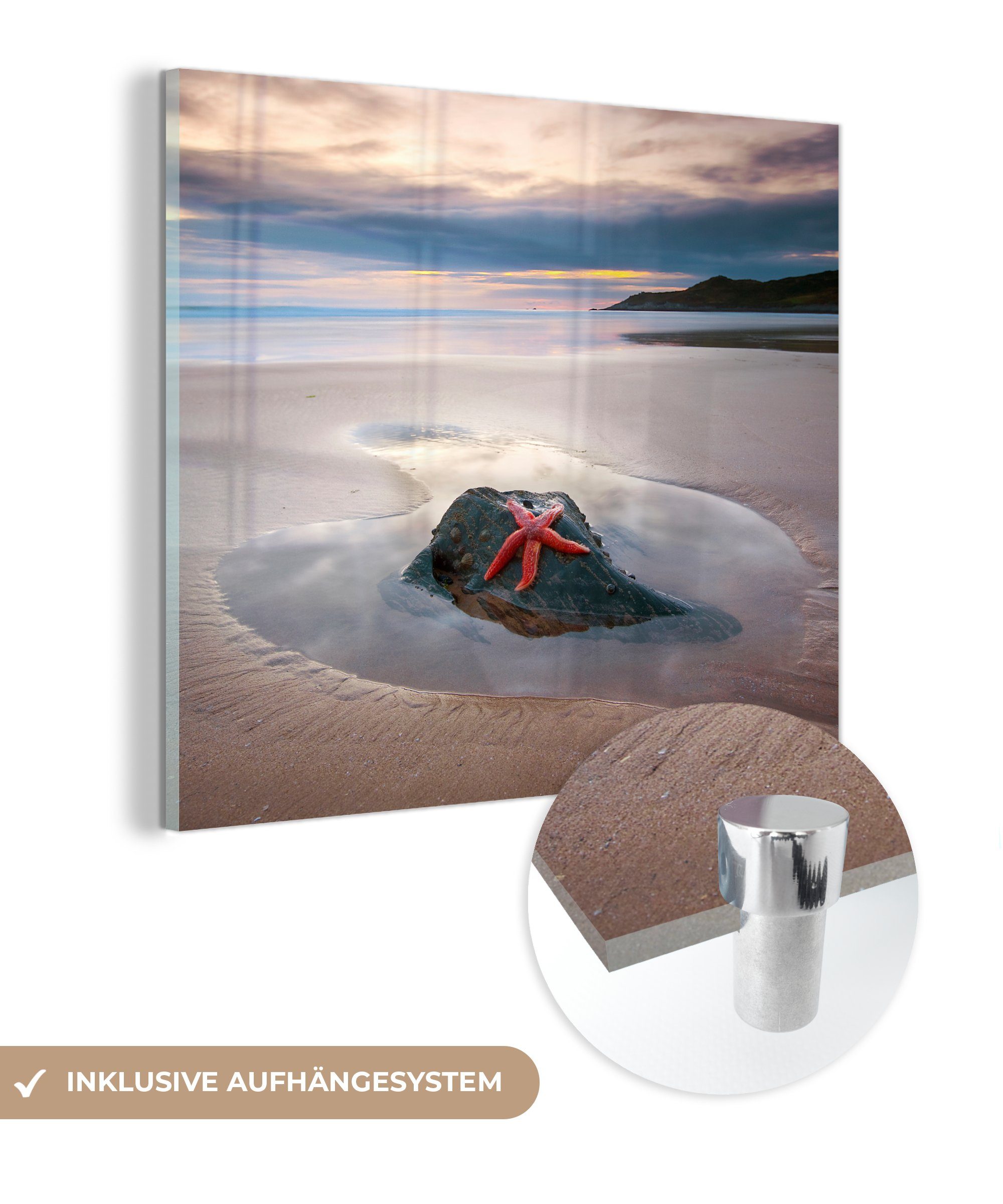 MuchoWow Glas auf Bilder Glas - Sonne, (1 St), Glasbilder - Acrylglasbild Strand Wanddekoration Wandbild Seestern - auf Foto - -