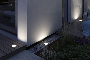 Paulmann LED Gartenstrahler Plug & Shine Wandfluter Ocos Einzelleuchte IP67 3000K 6,1W Anthrazit, LED fest integriert, Warmweiß