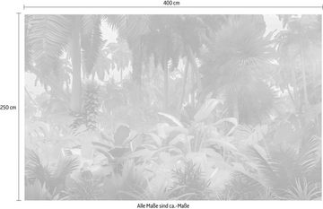 Komar Vliestapete Misty Jungle, (1 St), 400x250 cm (Breite x Höhe), Vliestapete, 100 cm Bahnbreite
