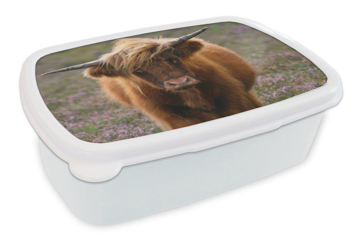 MuchoWow Lunchbox Schottische Hochlandbewohner - Heidelandschaft - Tiere, Kunststoff, (2-tlg), Brotbox für Kinder und Erwachsene, Brotdose, für Jungs und Mädchen weiß