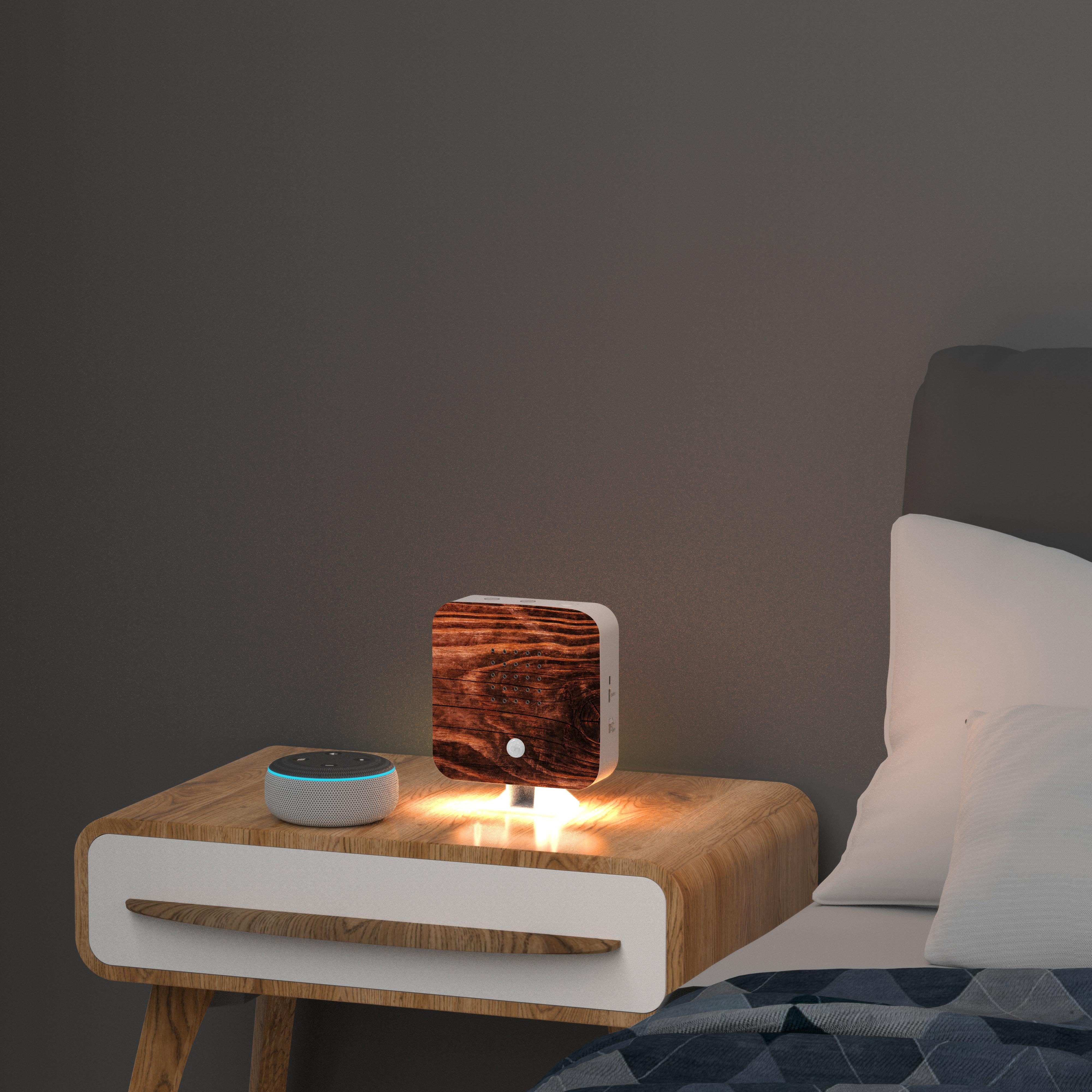 Northpoint LED Dekolicht Naturgeräuschebox Vogelzwitscher Bewegungsmelder Licht Aufladbar