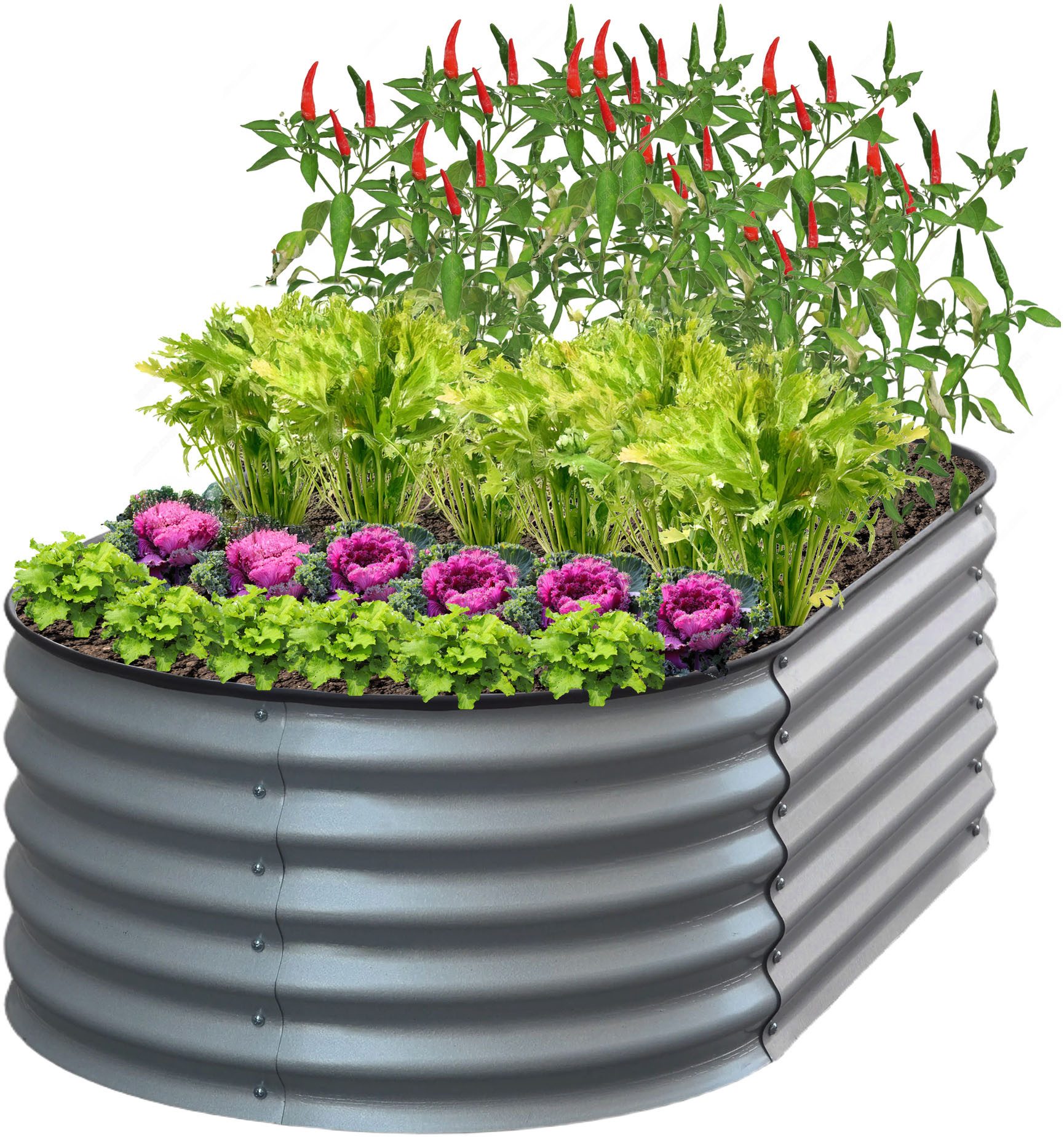 KONIFERA Hochbeet "Flower" mit Verstrebungen für mehr Stabilität günstig online kaufen